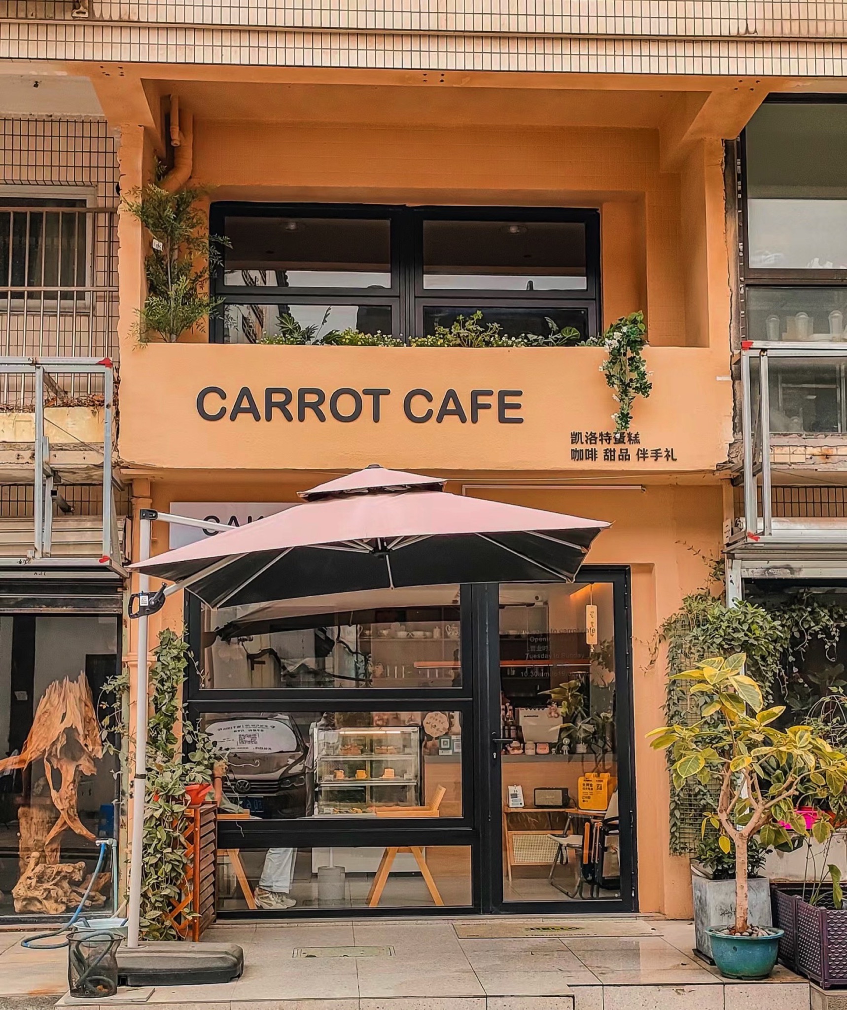 carrot cafe · Changzhou