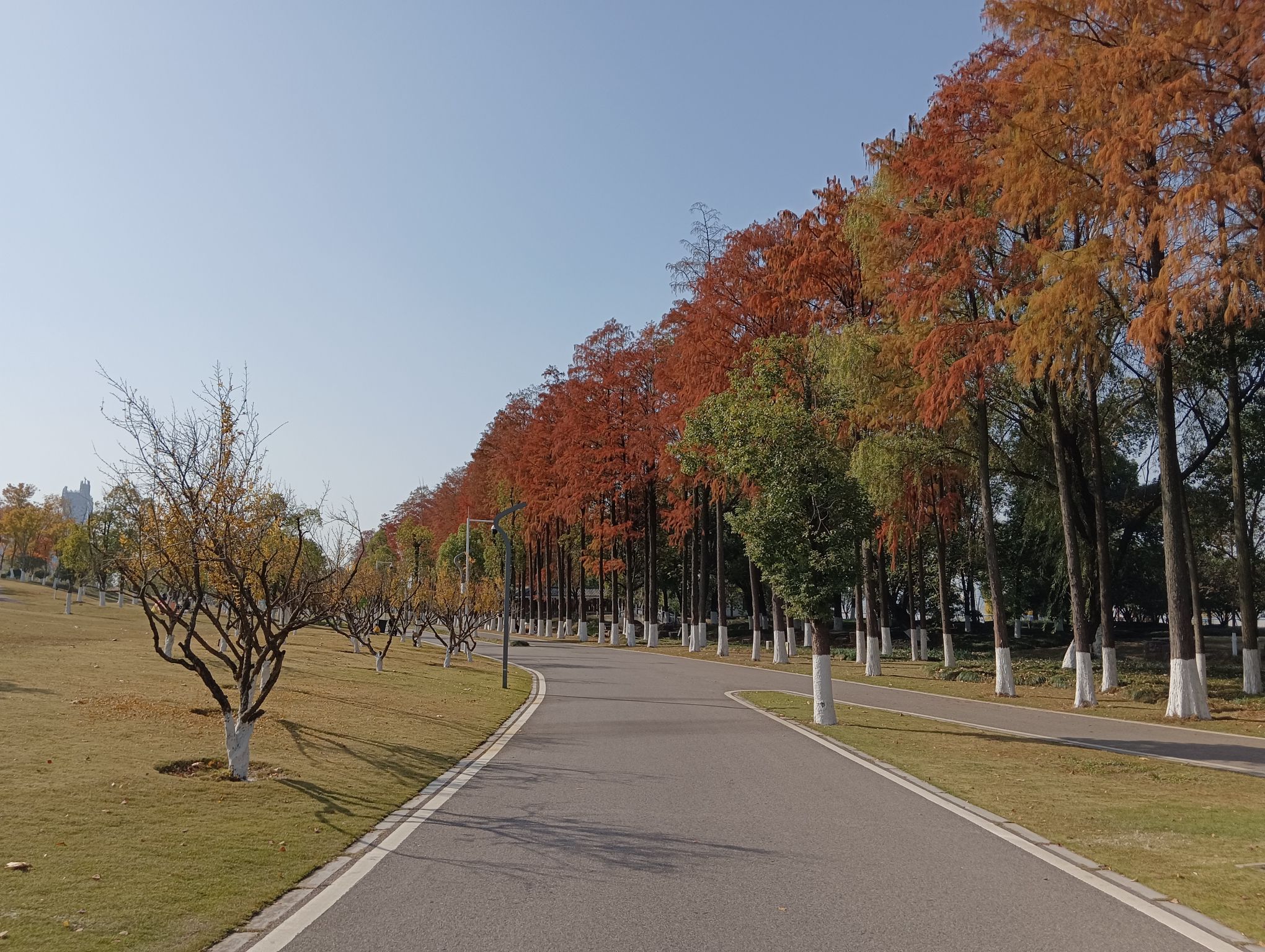 武汉青山江滩旅行图片 3