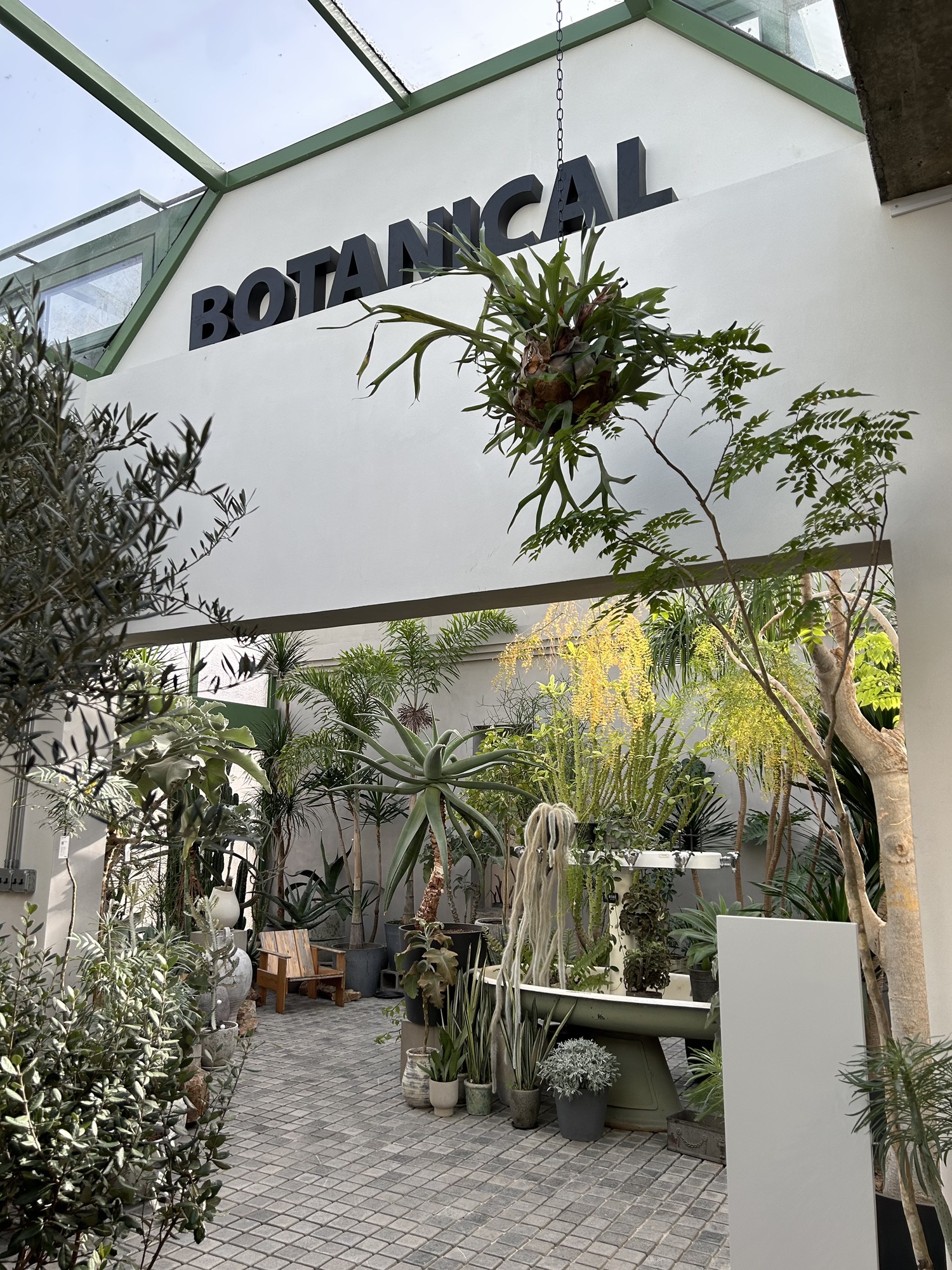 荒野植物园旅行图片 1