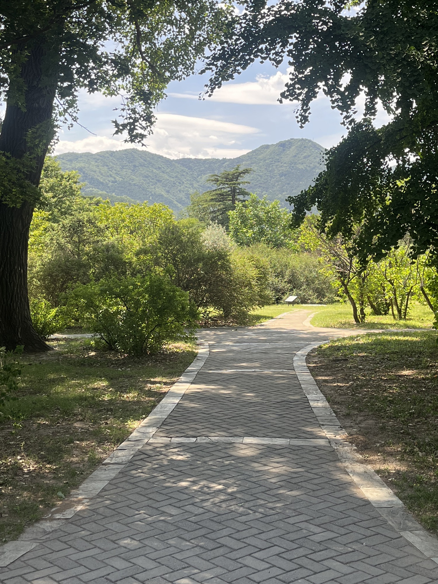 荒野植物园旅行图片 1