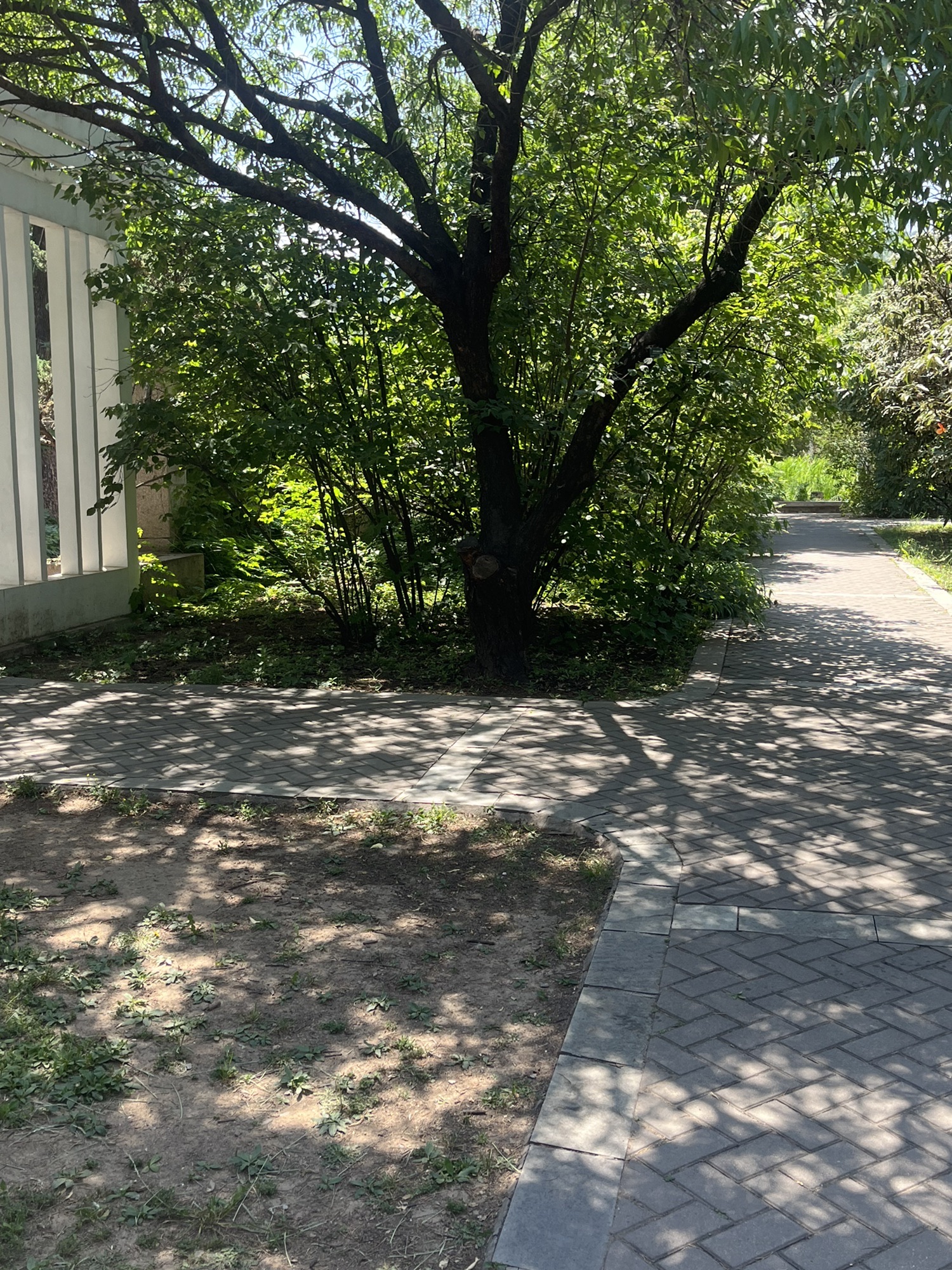 荒野植物园旅行图片 3