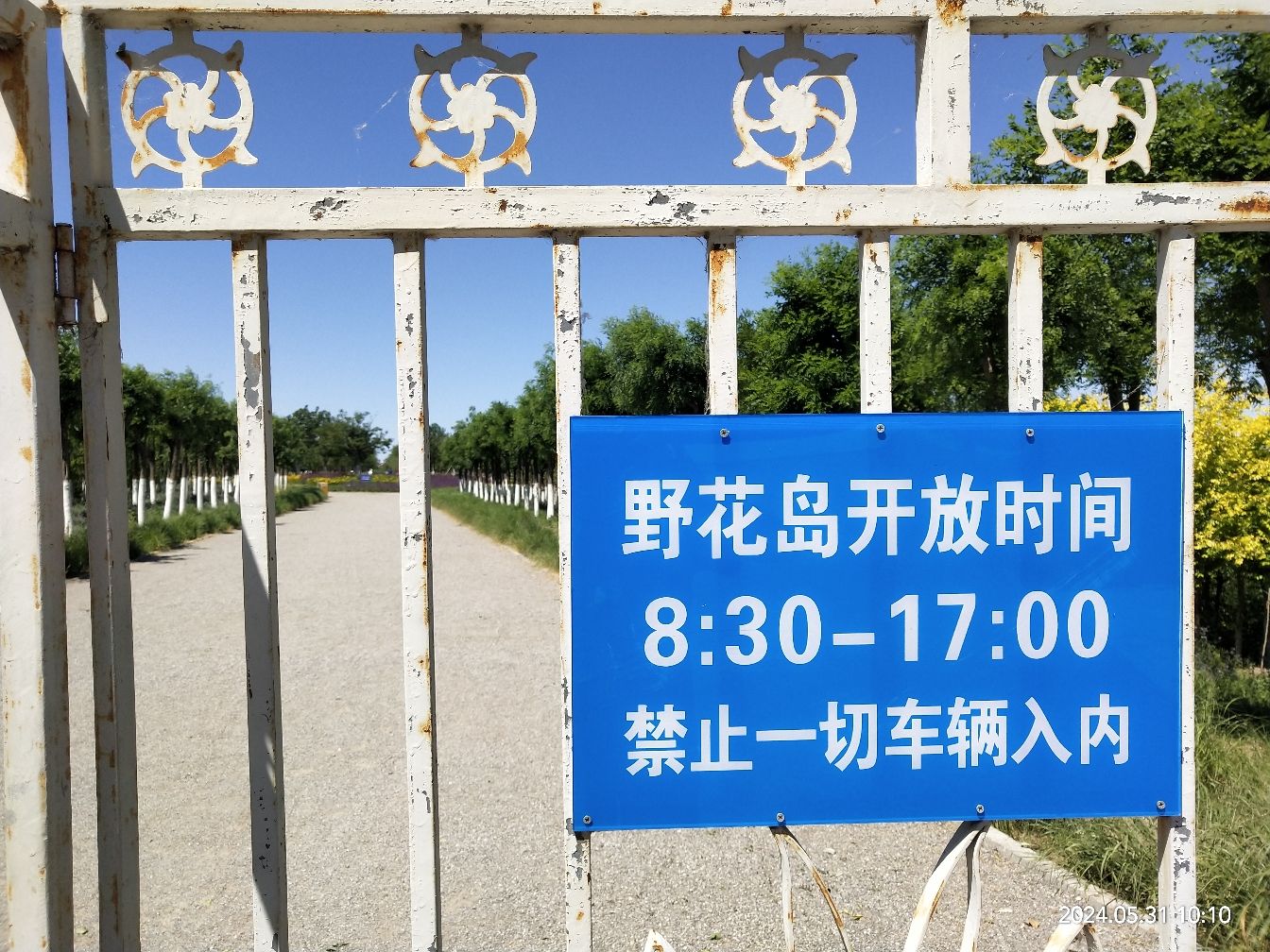 静湖公园野花岛旅行图片 1