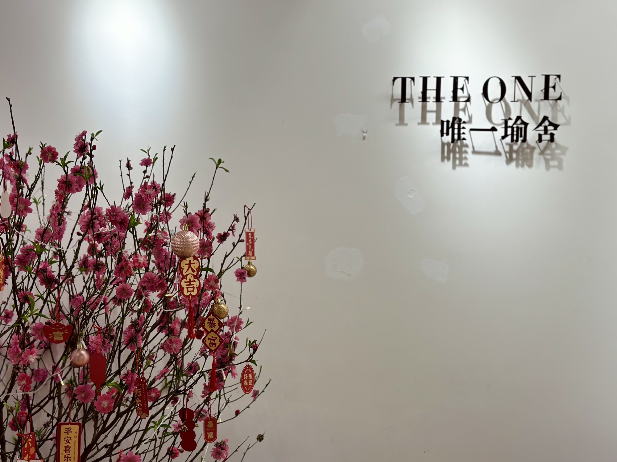 场地封面-THE ONE唯一瑜舍(建滔广场店)