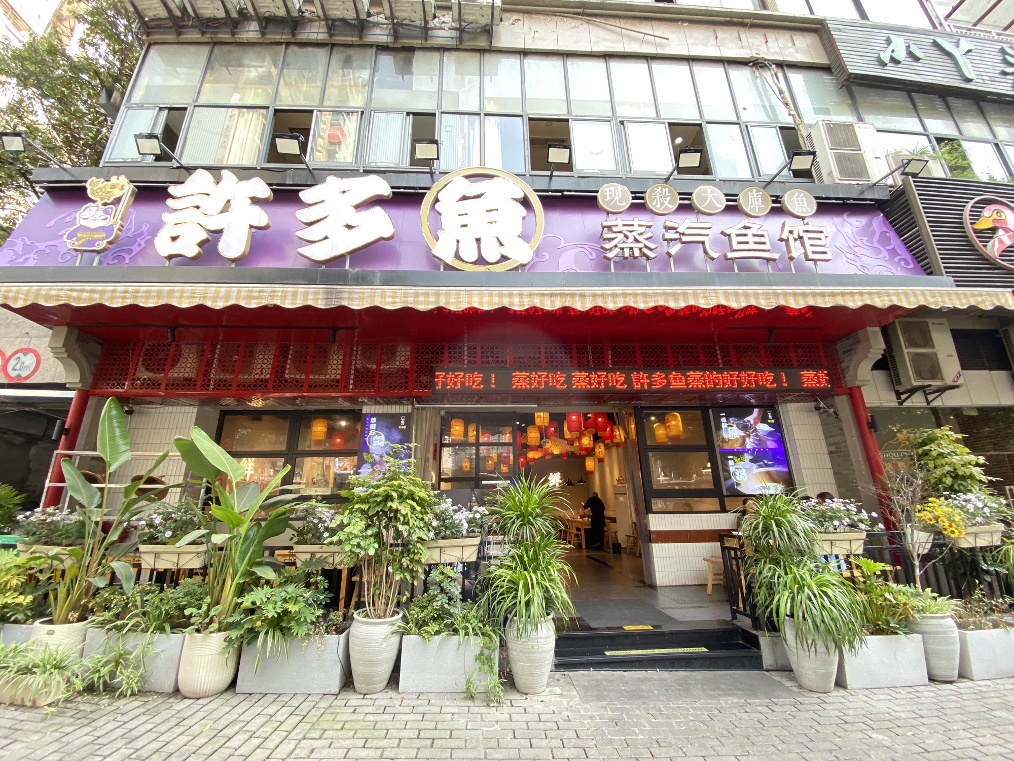 许多鱼蒸汽鱼馆(天一华府店)