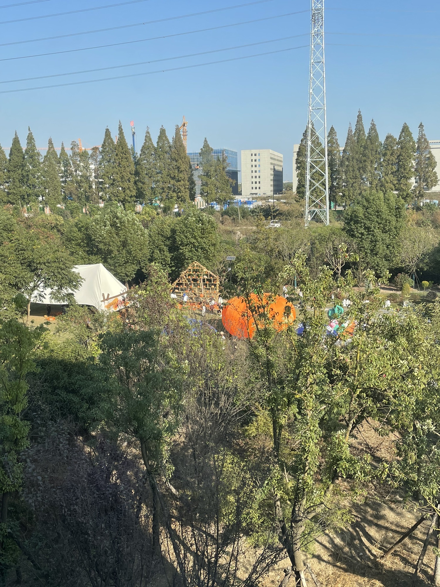 杭州钱塘绿岛旅行图片 1