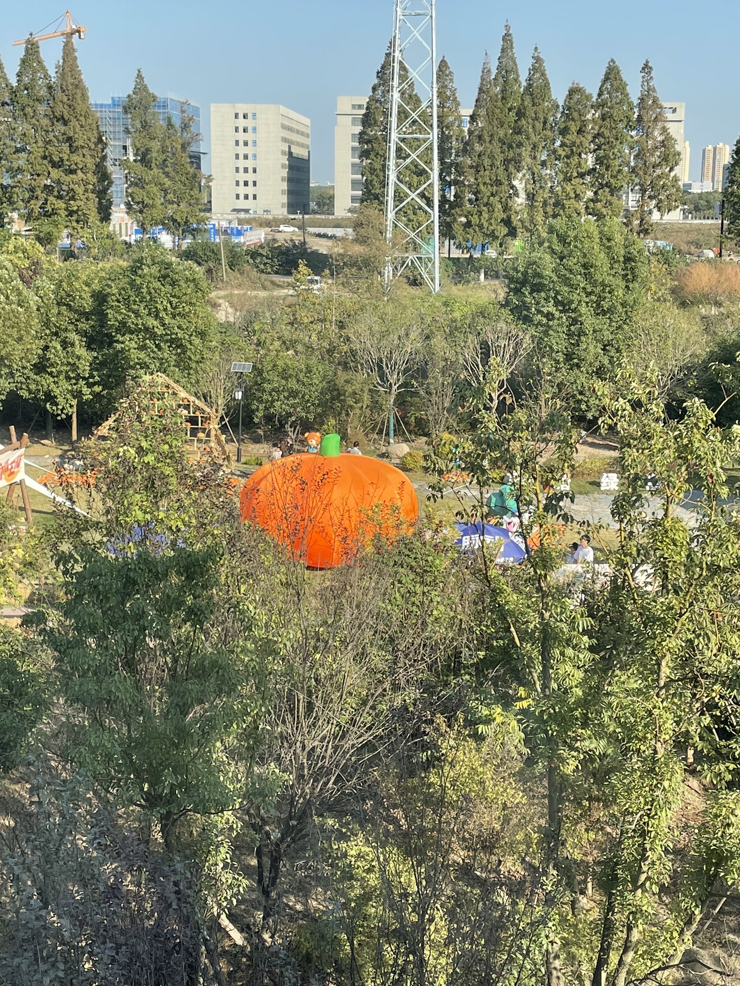 杭州钱塘绿岛旅行图片 2