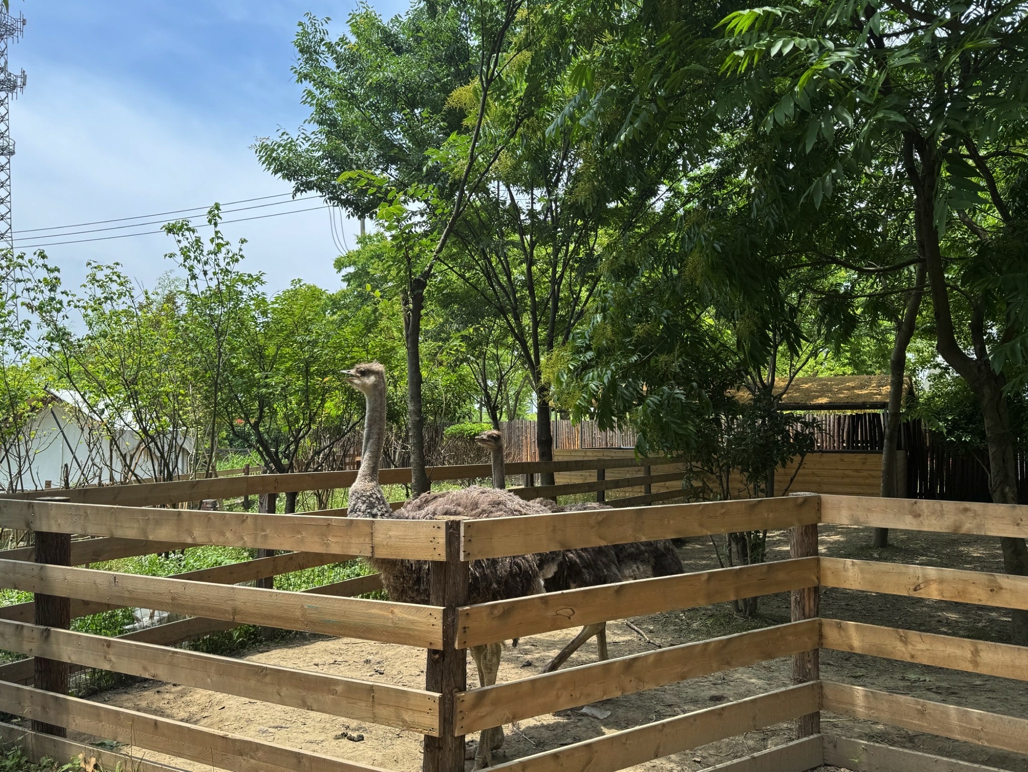 杭州钱塘绿岛旅行图片 2