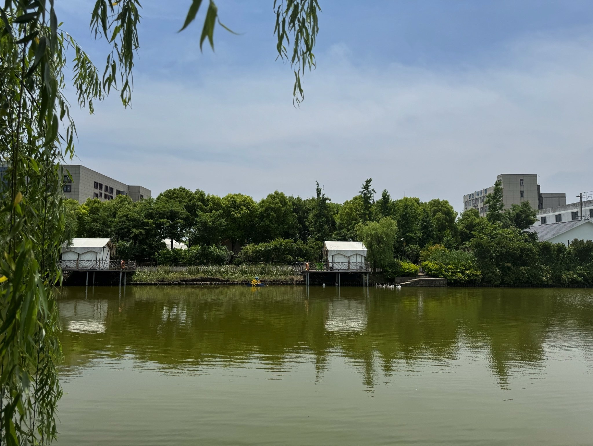 杭州钱塘绿岛旅行图片 3