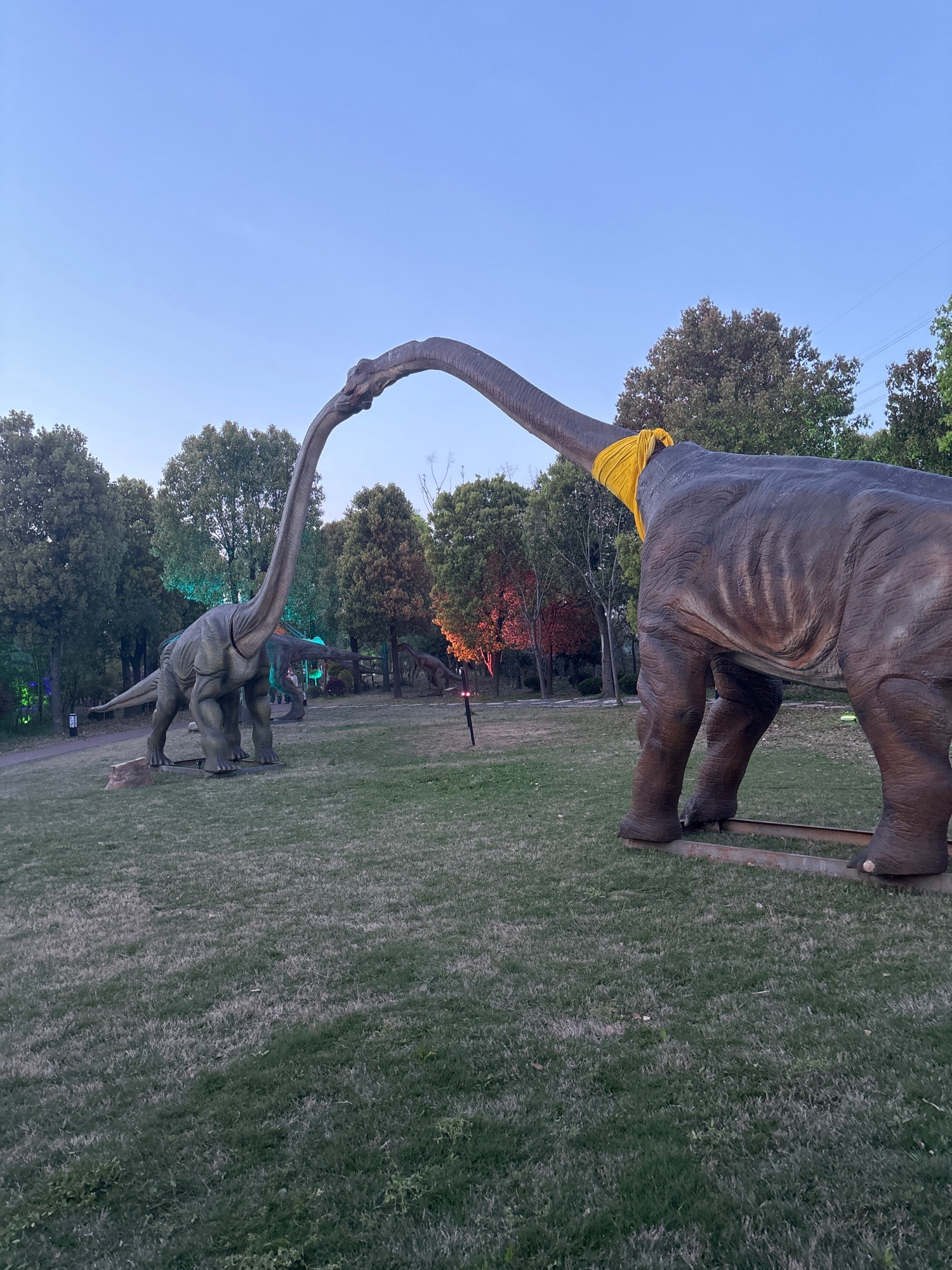 杭州钱塘绿岛旅行图片 2