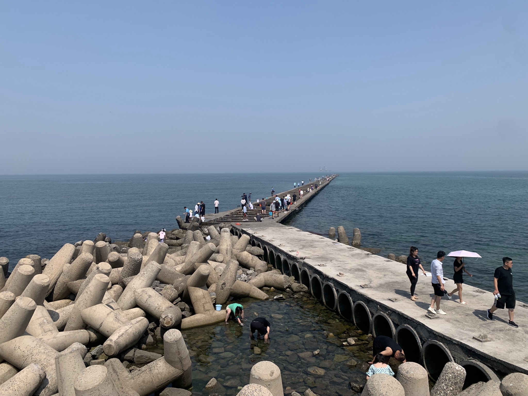孤东油田安澜石旅行图片 2