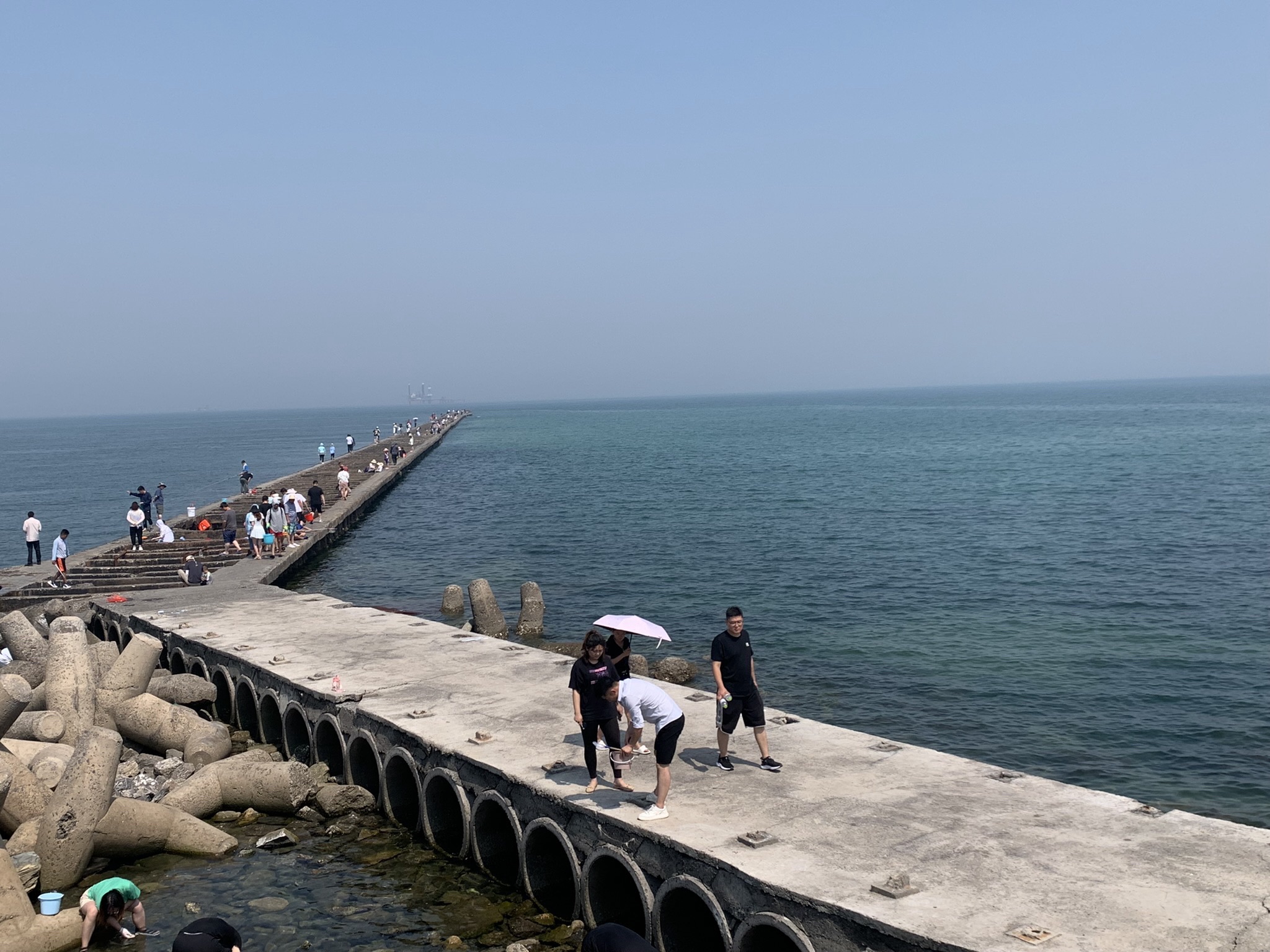 孤东油田安澜石旅行图片 1
