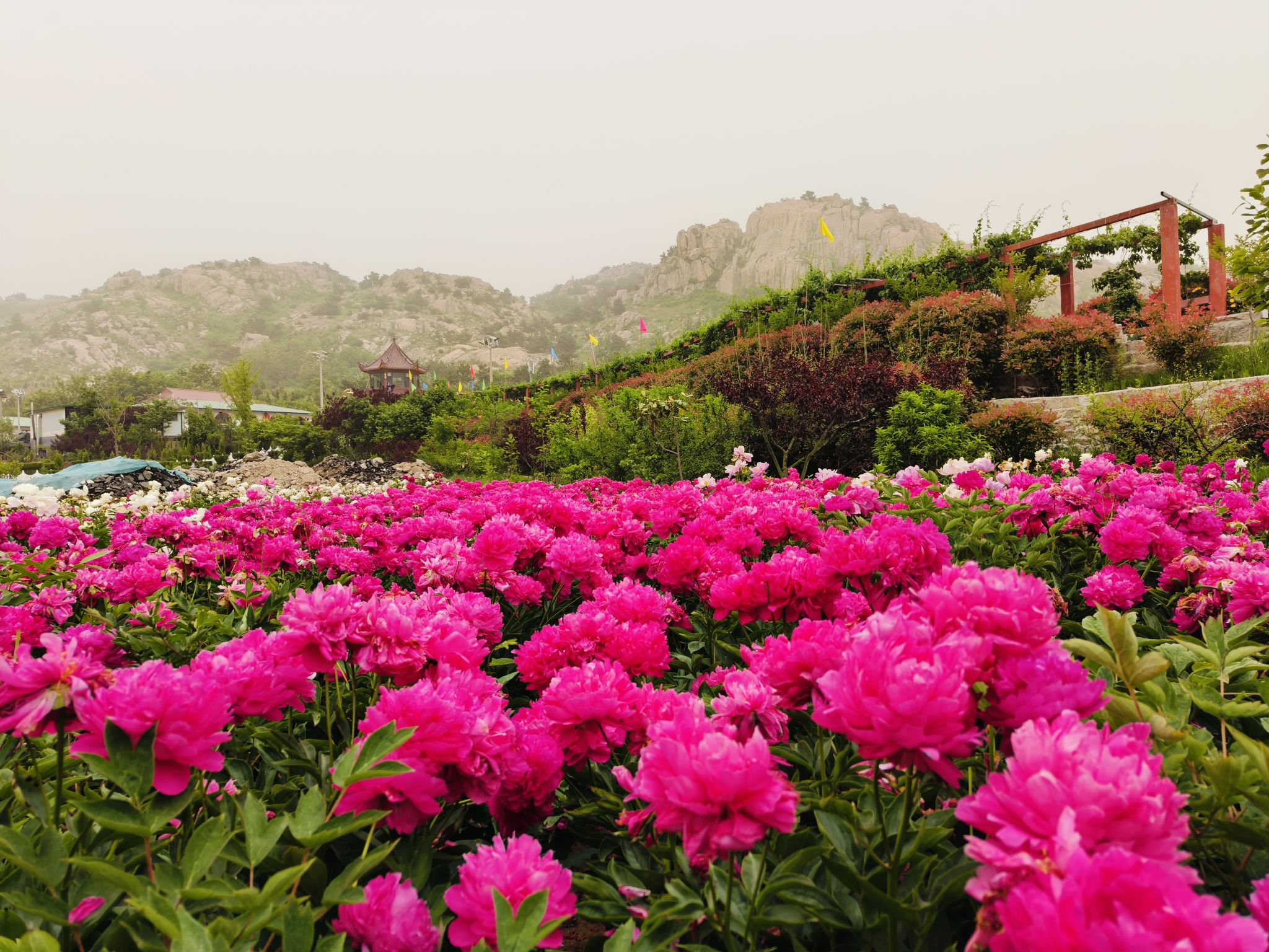 花花山风景区