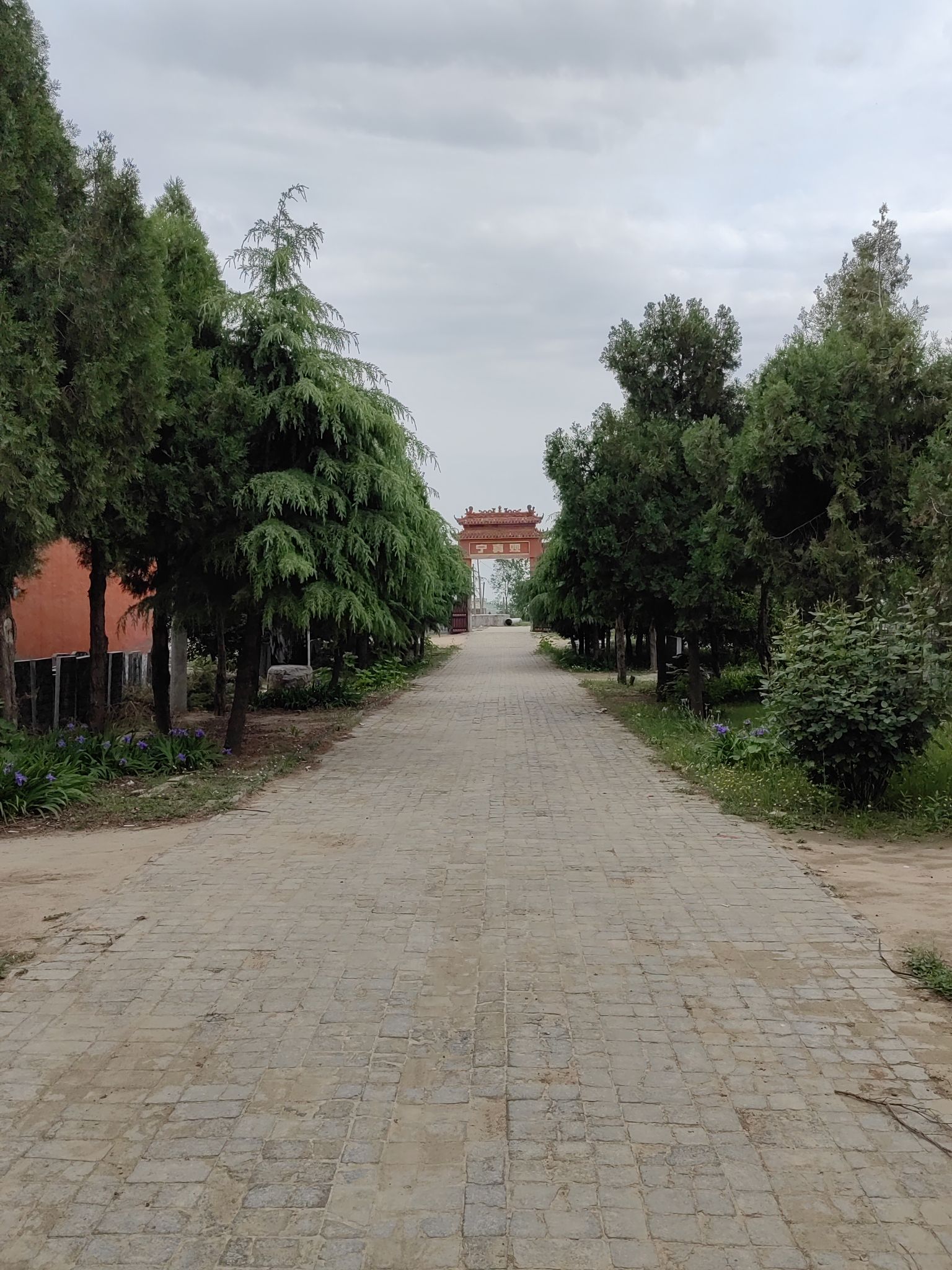 宁真观旅行图片 2