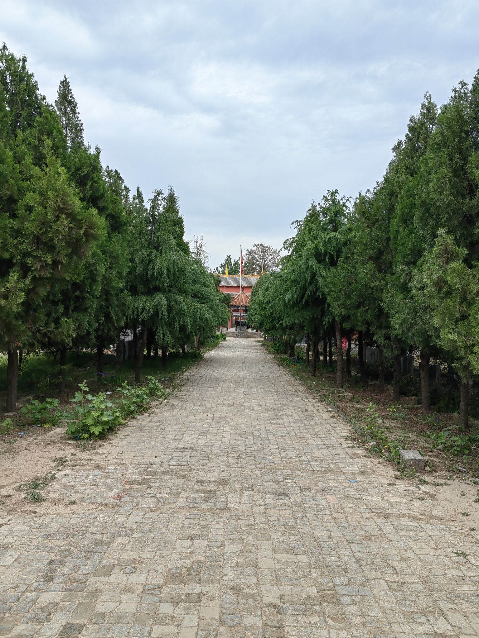 宁真观旅行图片 3