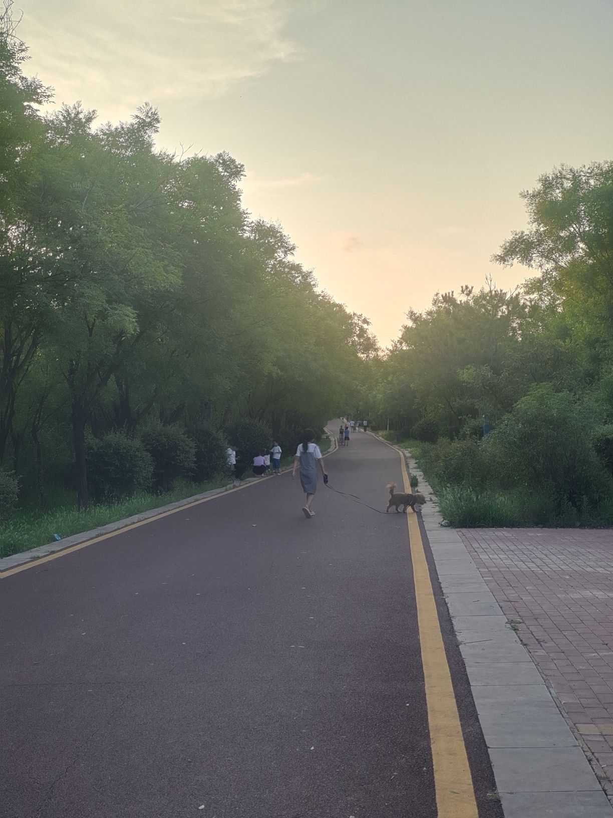 卧虎山公园旅行图片 2