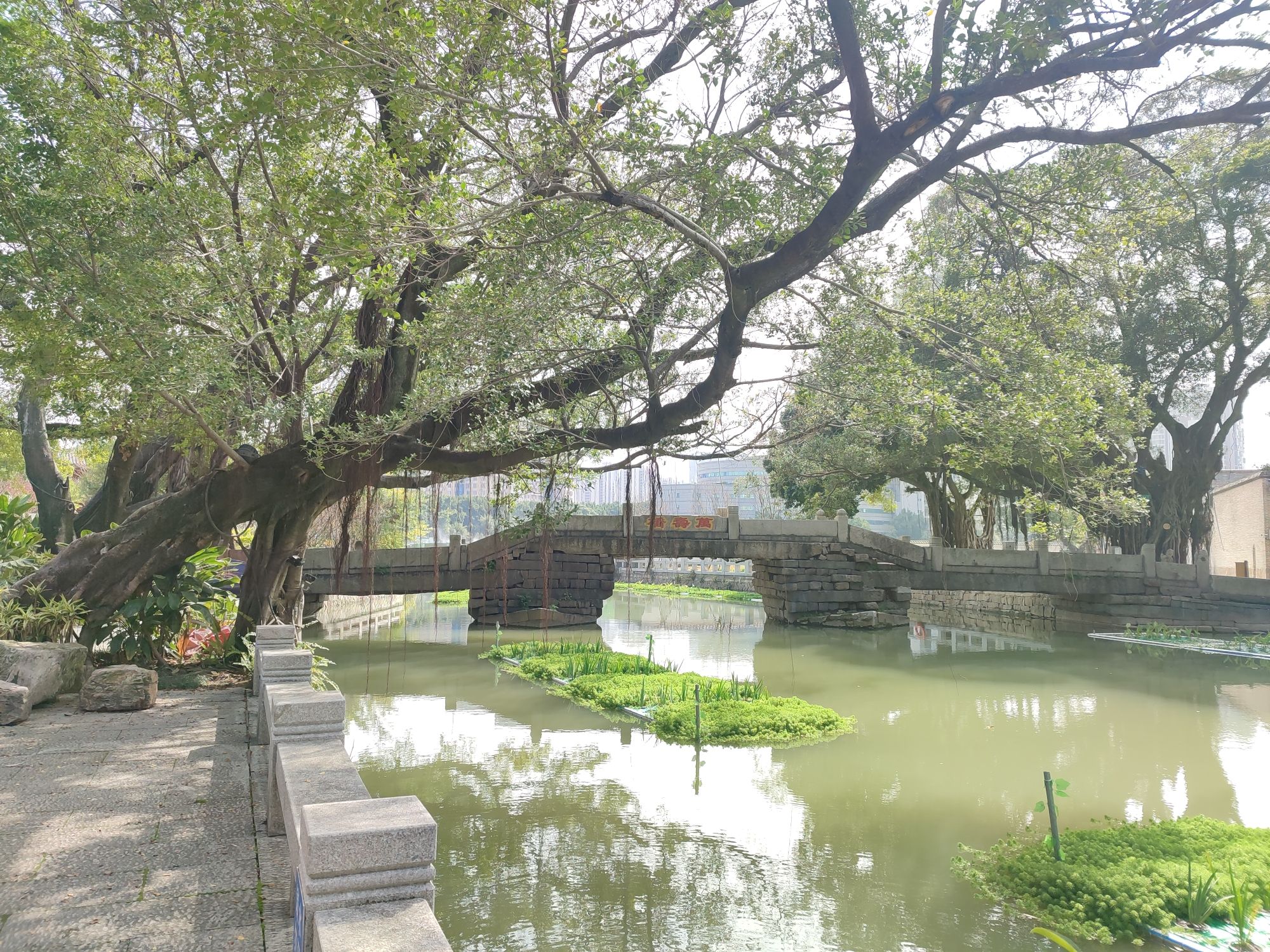 河口万寿桥旅行图片 1