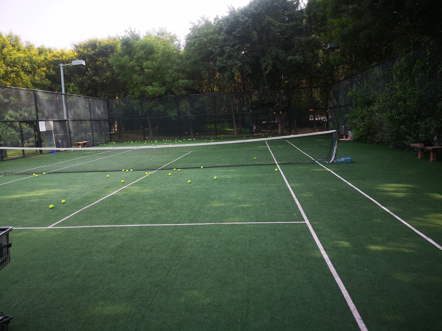 场地封面-战狼网球俱乐部(通州店)