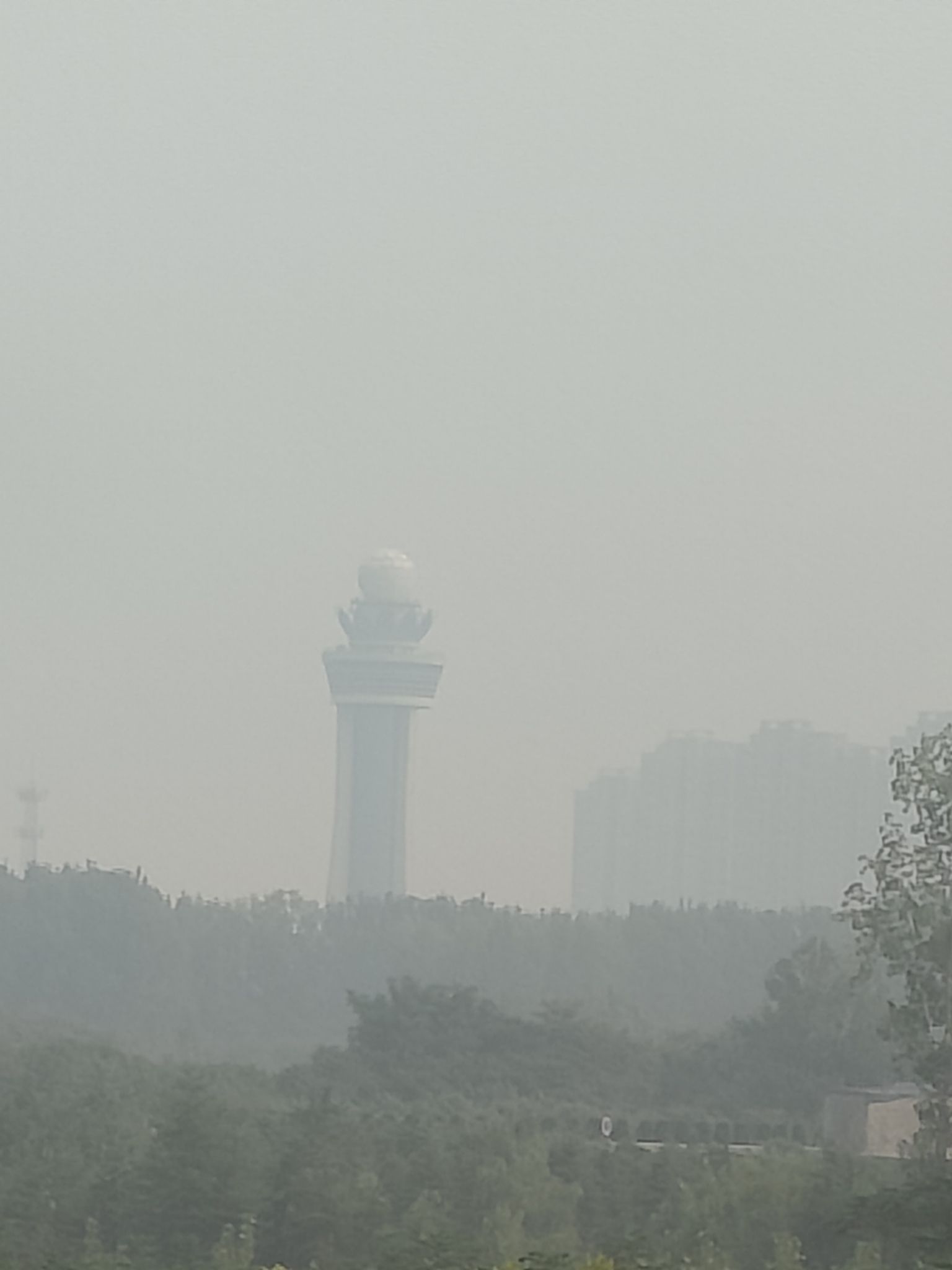 莲城明珠旅行图片 1