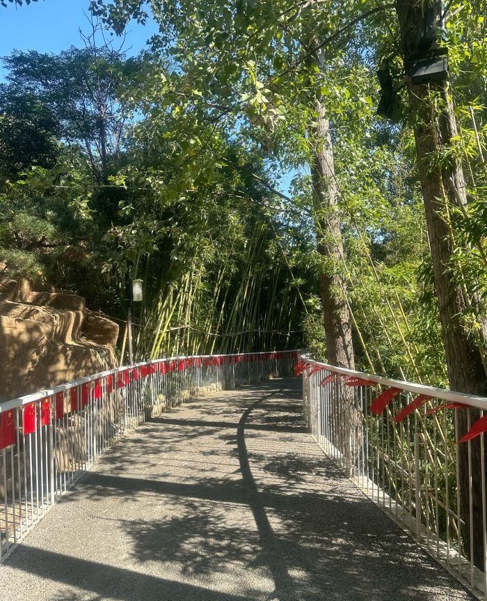 九女峰沉浸式景区旅行图片 3