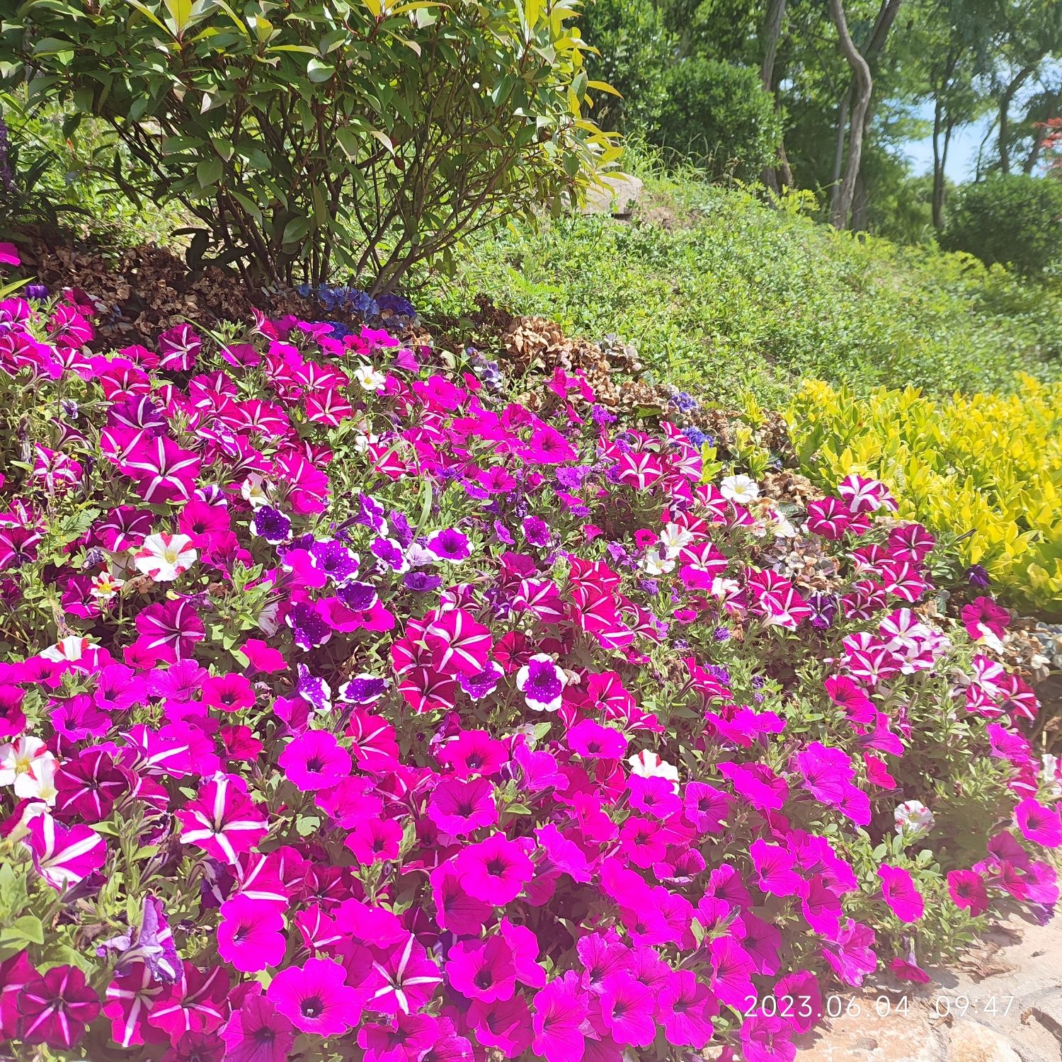 浮山森林公园宁乐广场旅行图片 1
