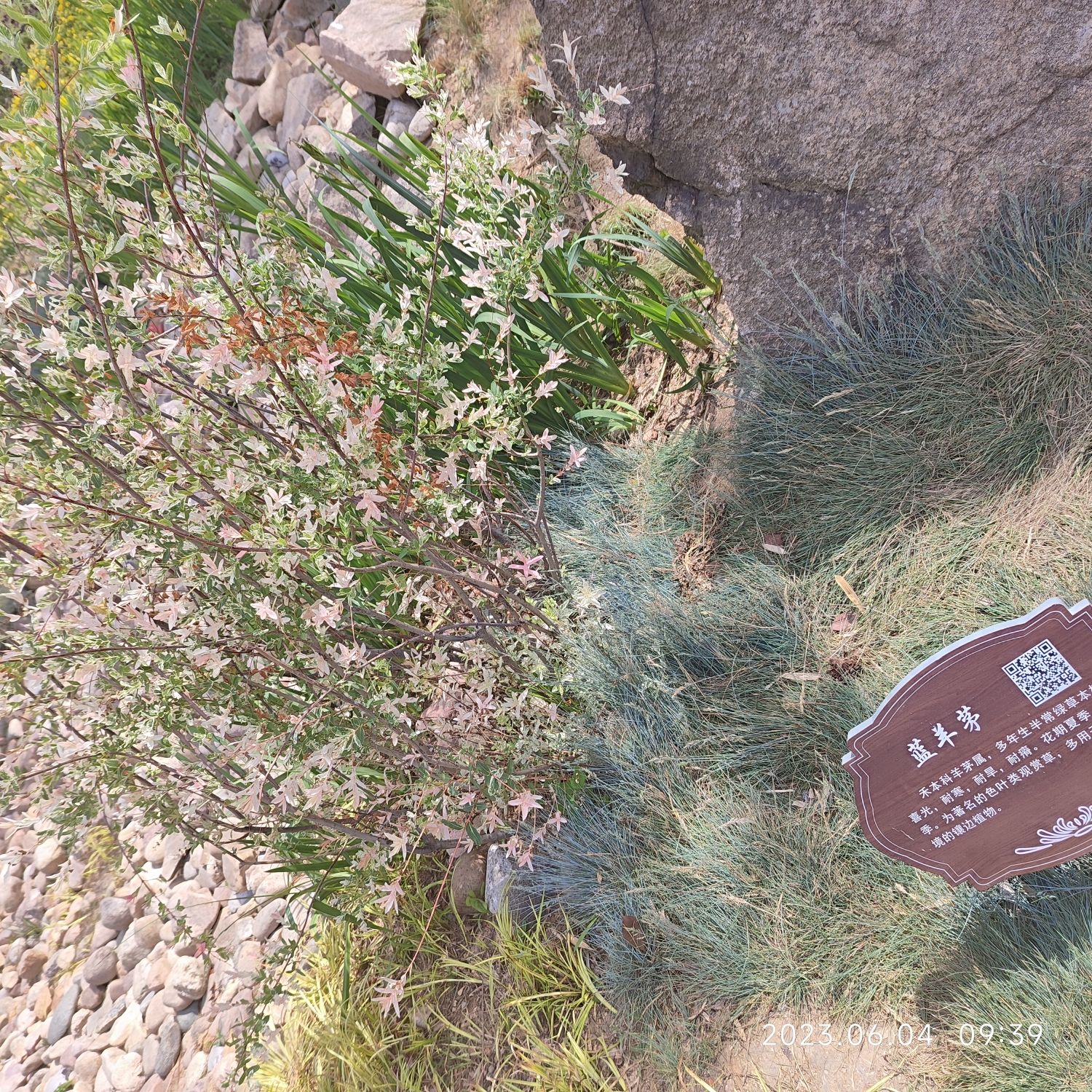 浮山森林公园宁乐广场旅行图片 2