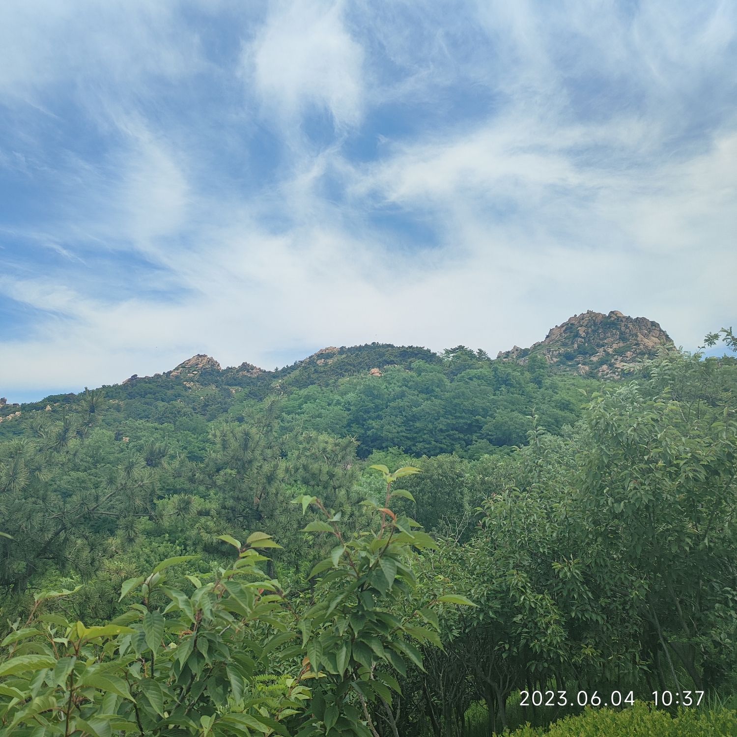 浮山森林公园宁乐广场旅行图片 3