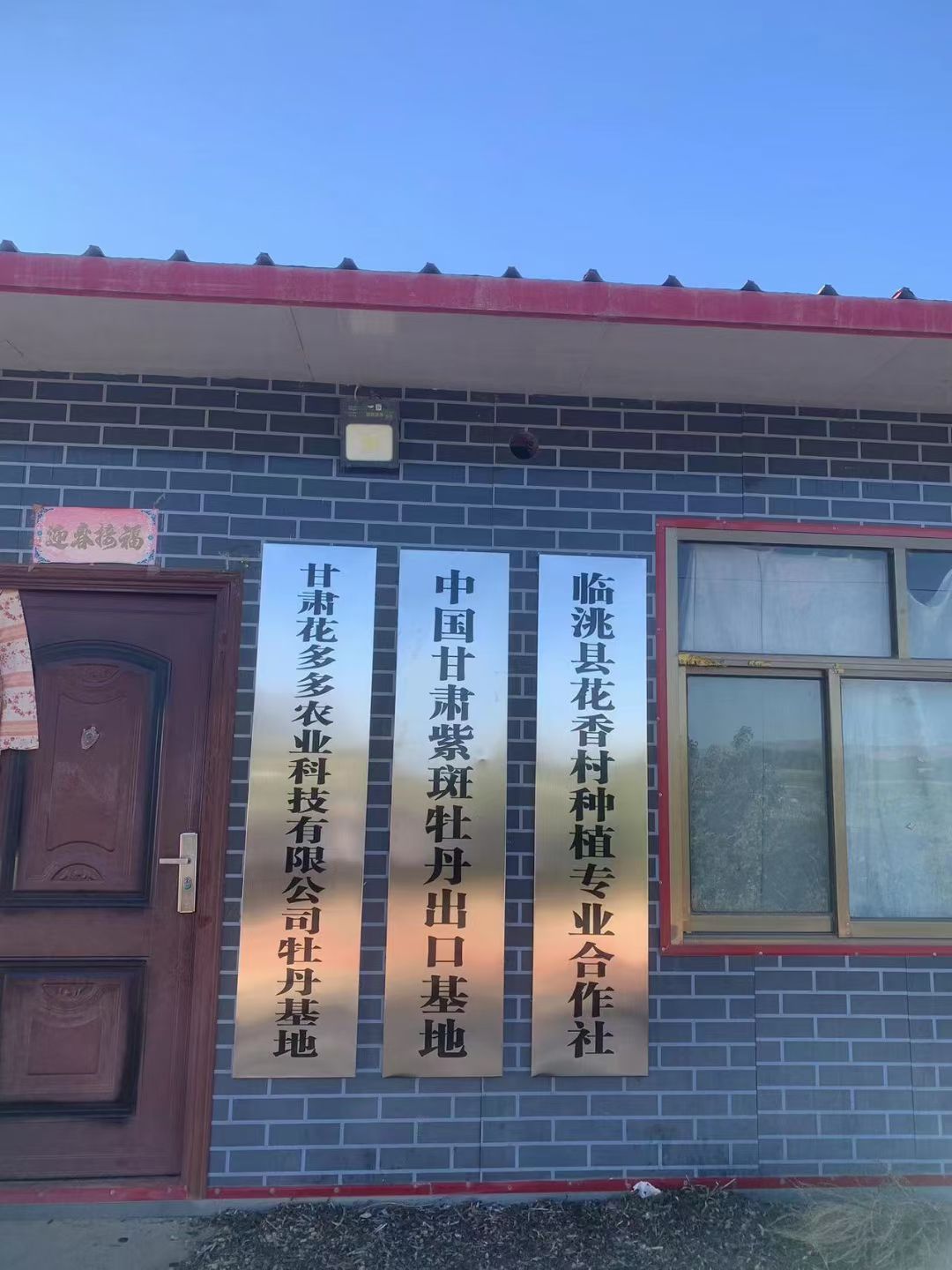 甘肃花多多农业科技有限公司牡丹基地