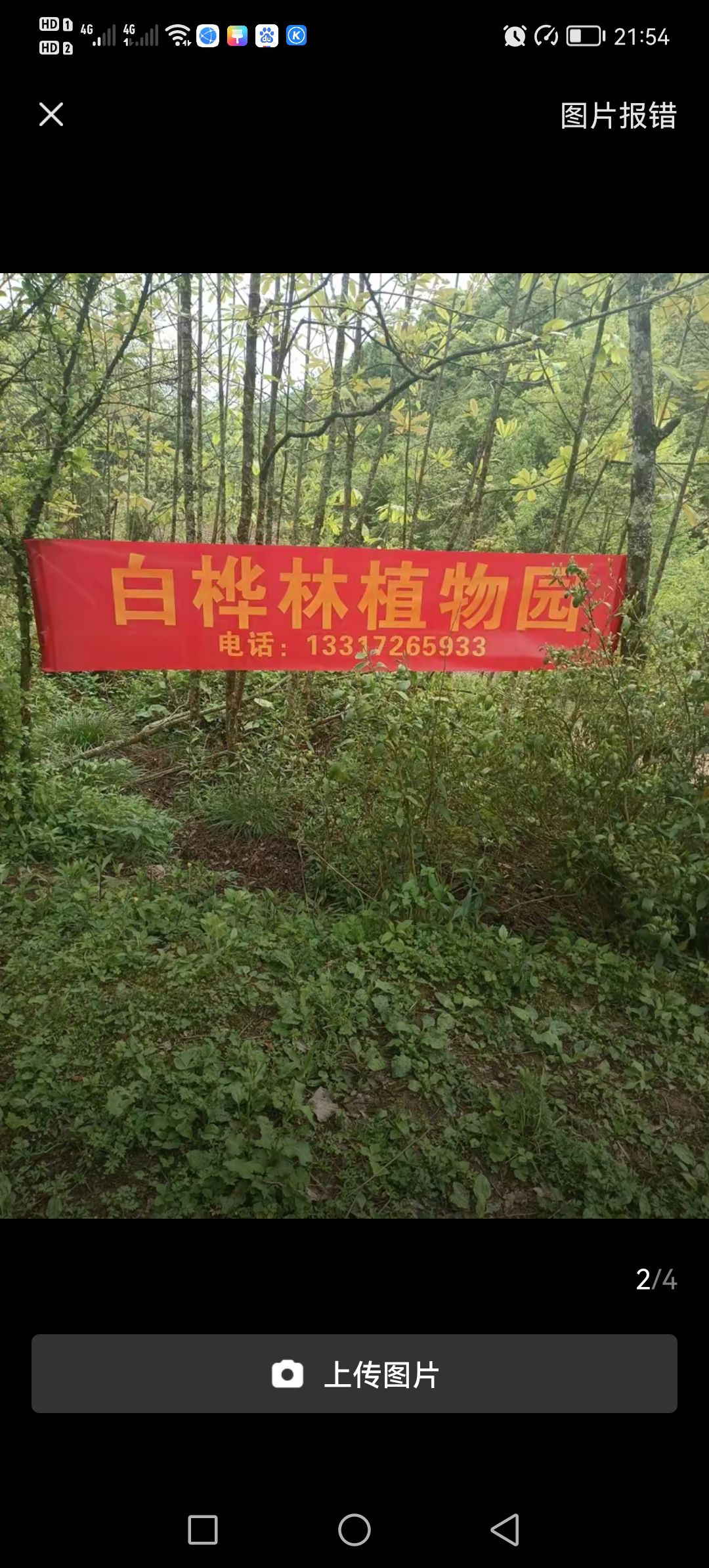 白桦林植物园旅行图片 1