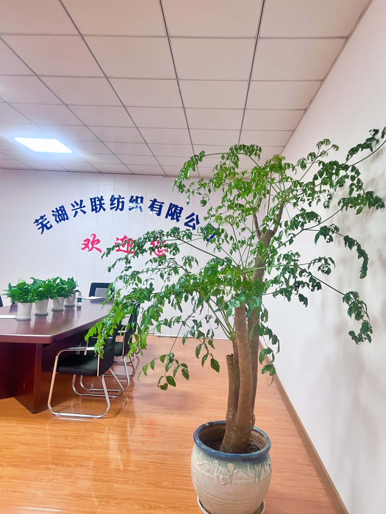 芜湖兴联纺织有限公司
