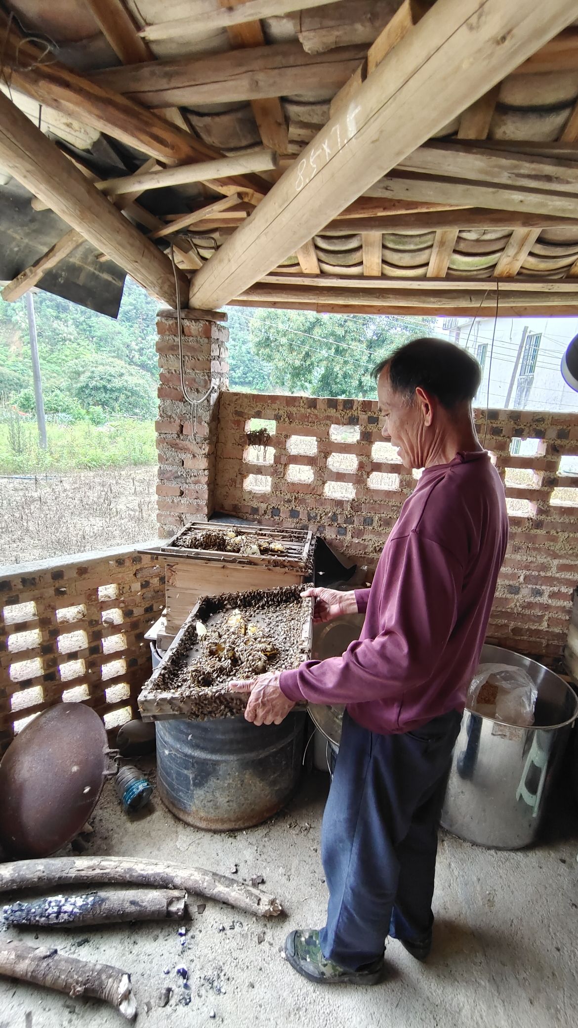 陈氏祖屋旅行图片 3