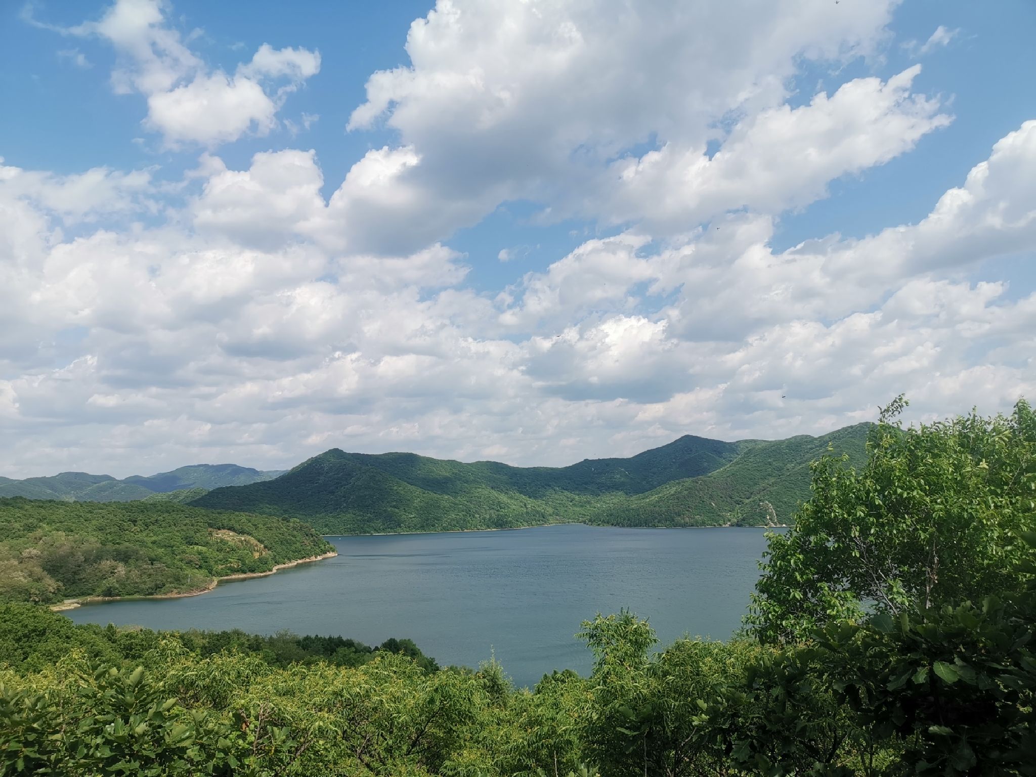 观鸟台旅行图片 1