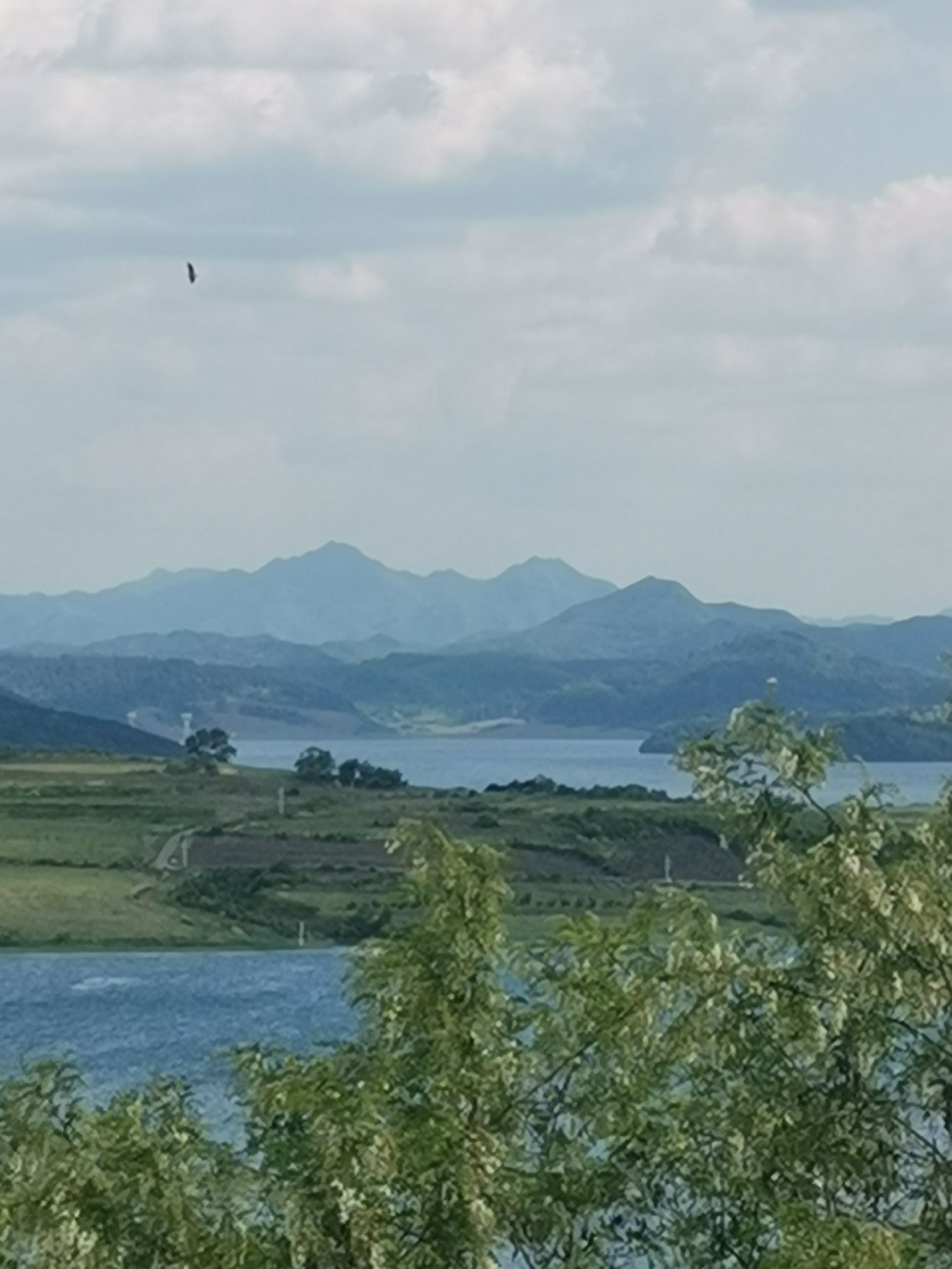 观鸟台旅行图片 2