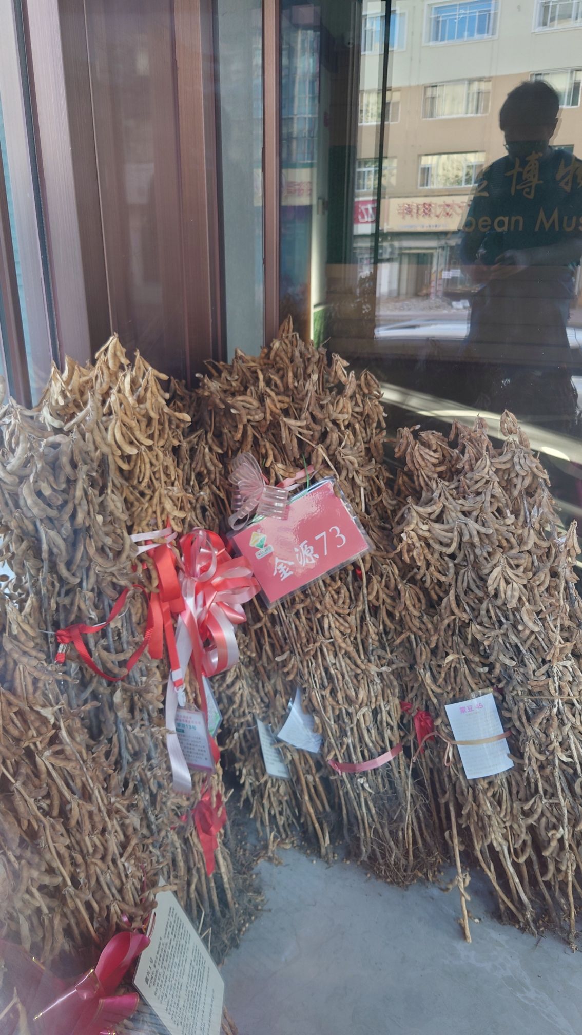 黑河寒地大豆博物馆