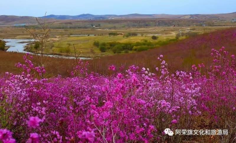 阿荣旗章塔尔南山旅行图片 2