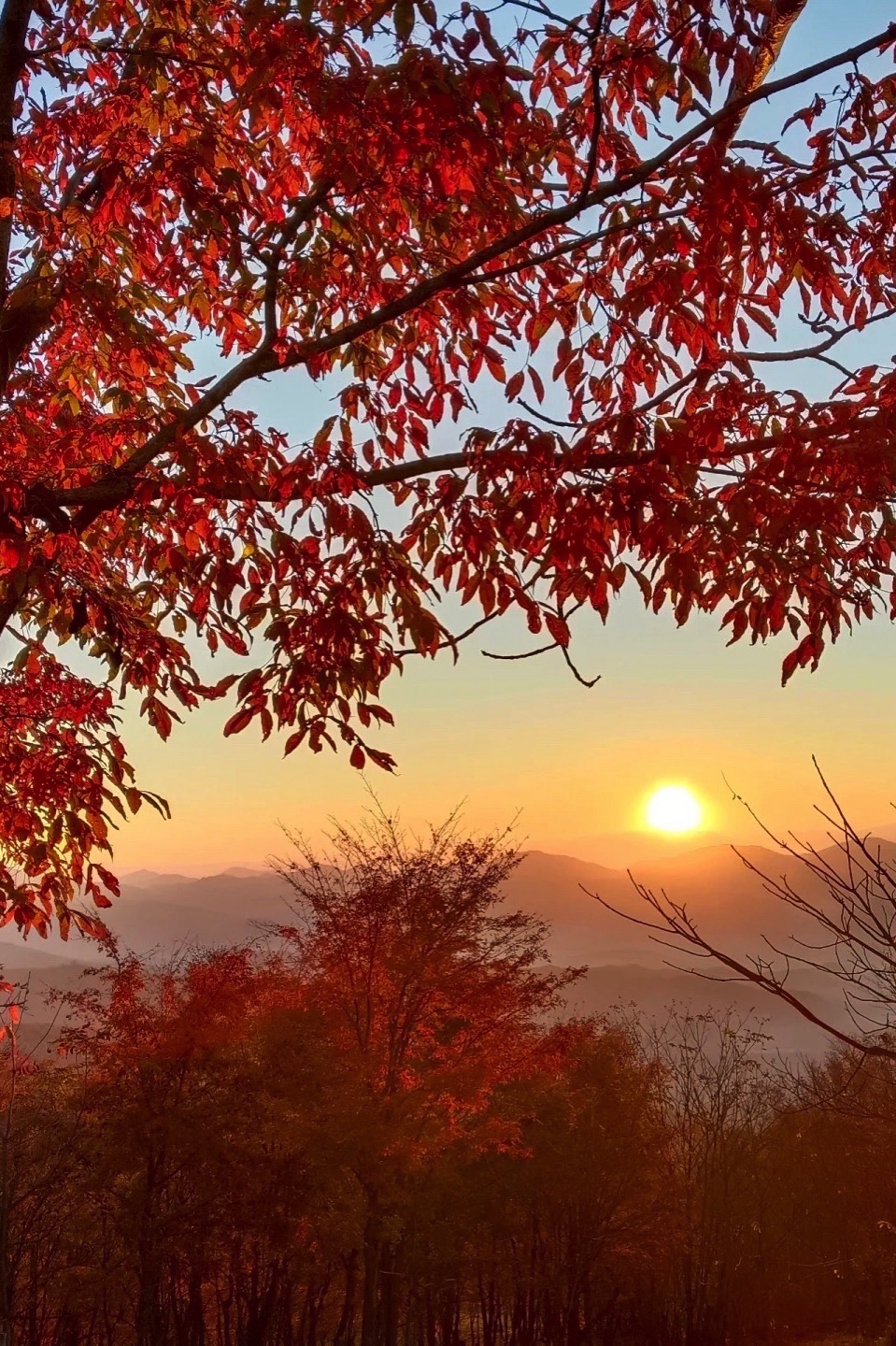 四方山(暂停开放)旅行图片 1