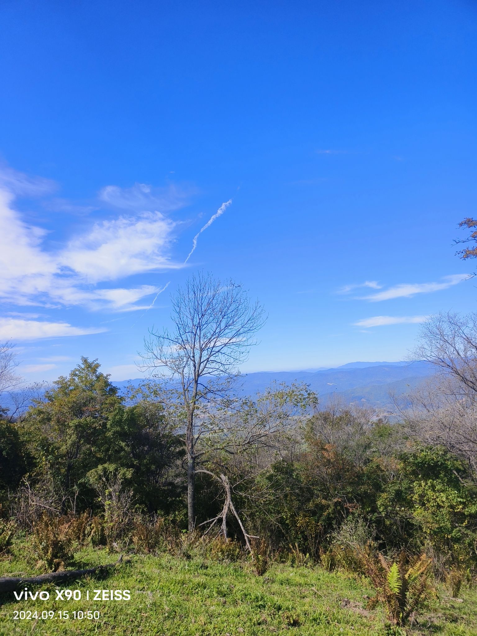 四方山(暂停开放)旅行图片 3