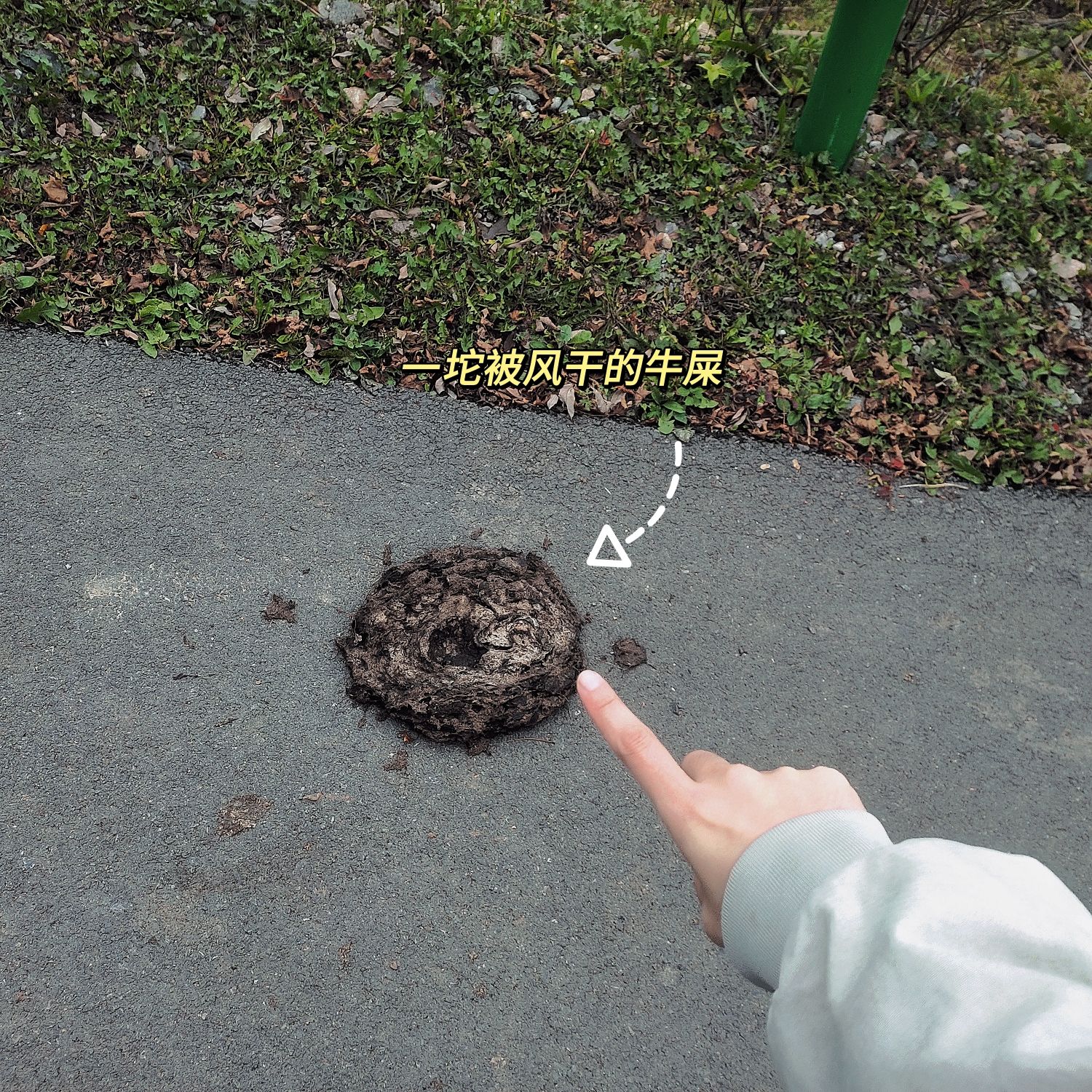 四方山(暂停开放)旅行图片 2