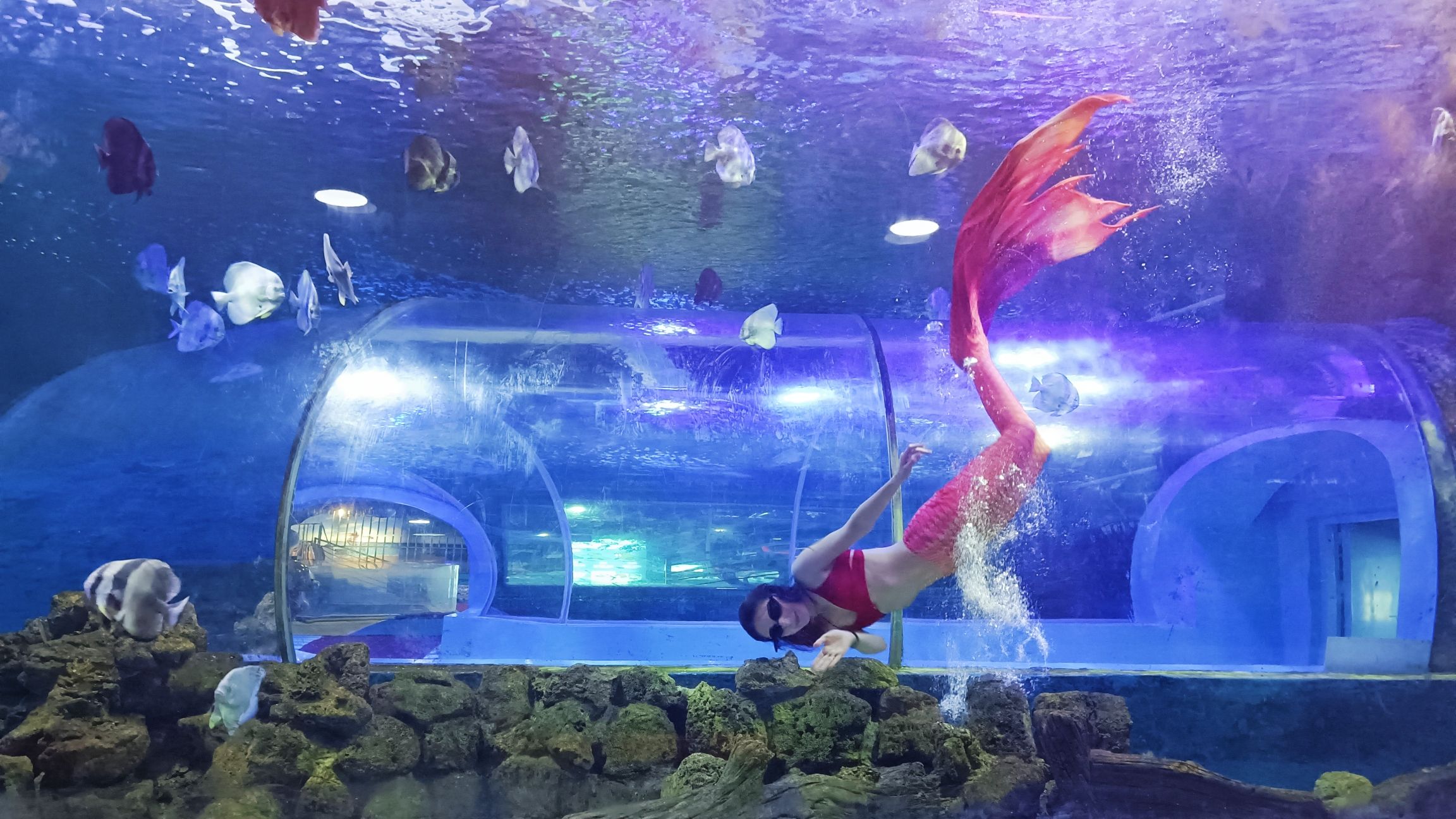 海昌海洋探索馆