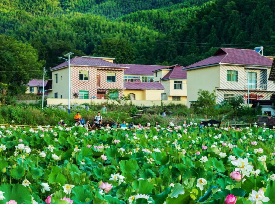 仰天峡漂流旅行图片 2