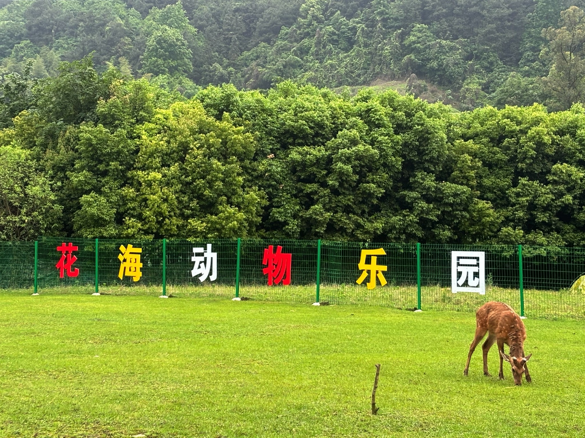 花海动物乐园旅行图片 1