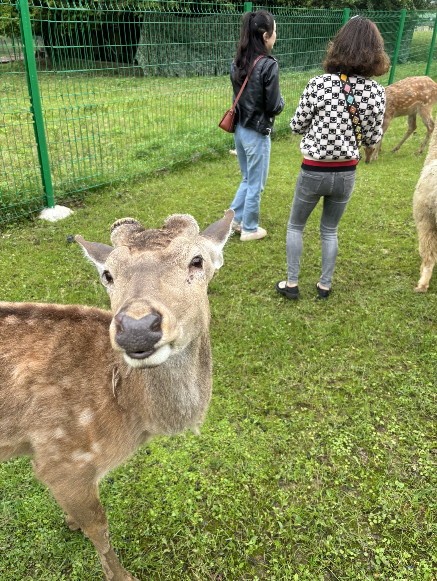 花海动物乐园旅行图片 2