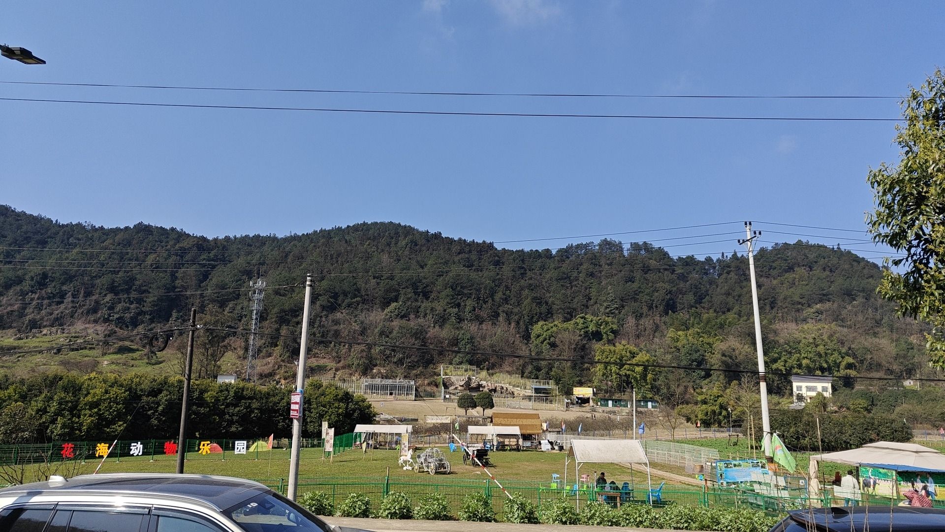 花海动物乐园旅行图片 1
