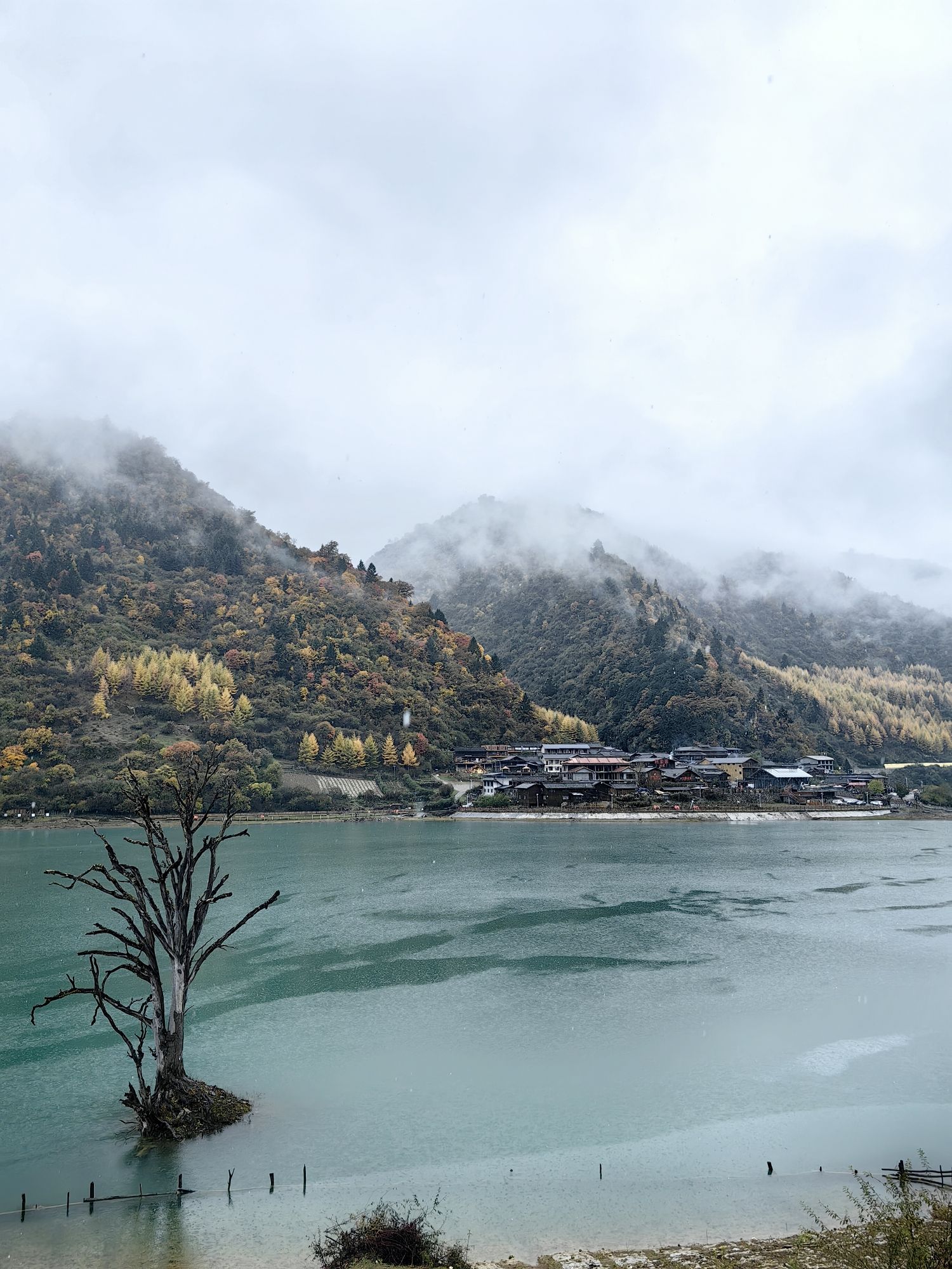 白马藏族乡旅游区