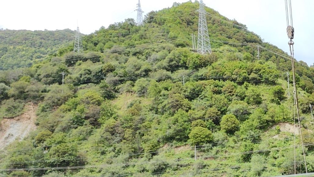 白马藏族乡旅游区旅行图片 3