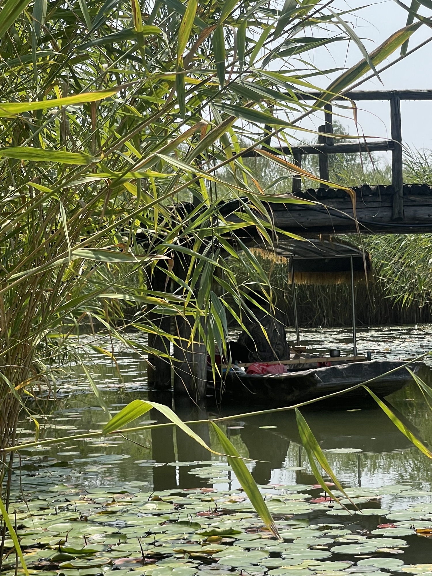 菱歌桥旅行图片 3