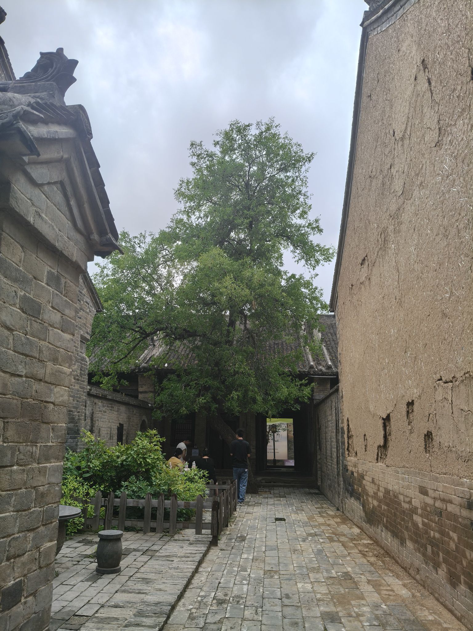 魏坡·新序旅行图片 3
