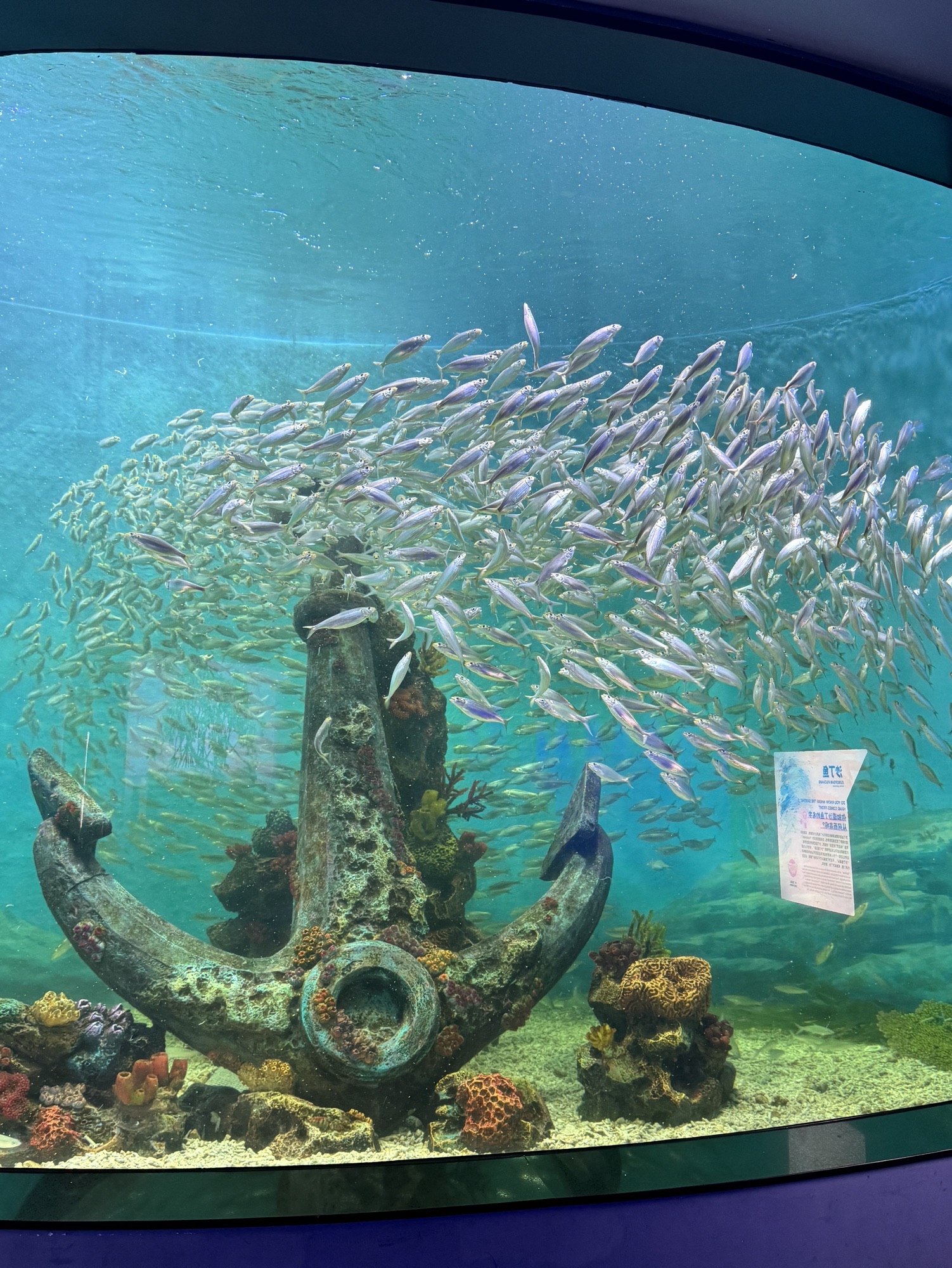 郑州海昌海洋公园旅游发展有限公司(办公楼)