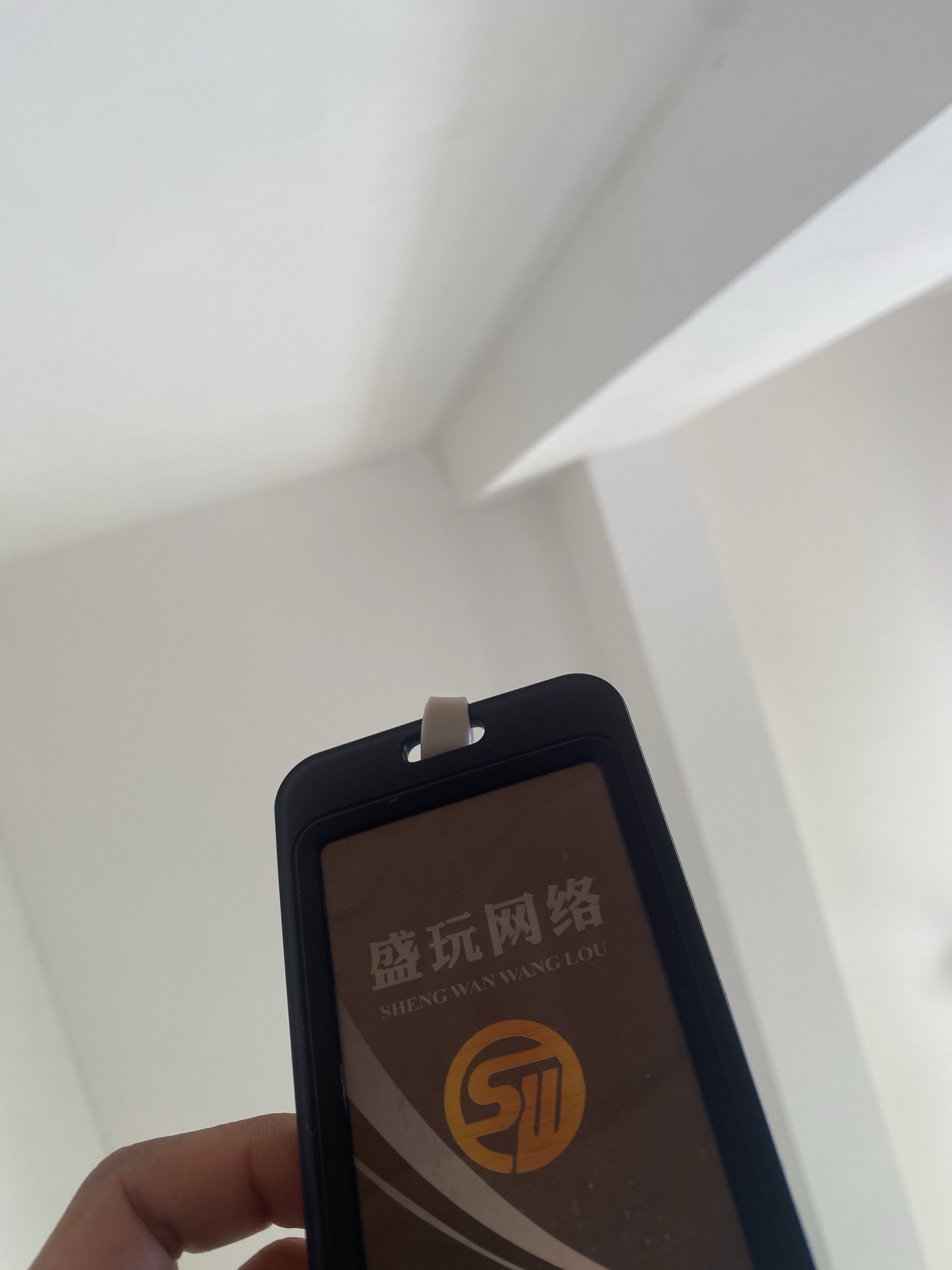安徽盛玩网络科技有限公司