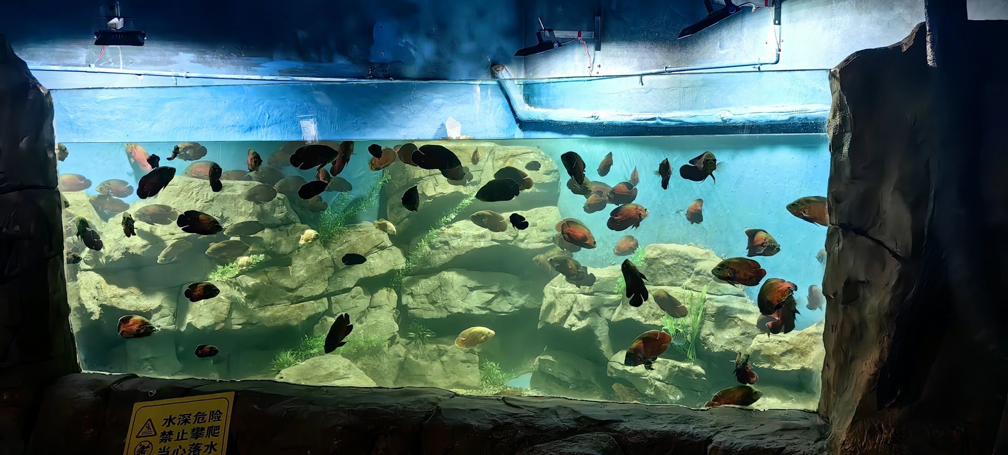 鄂州海底世界
