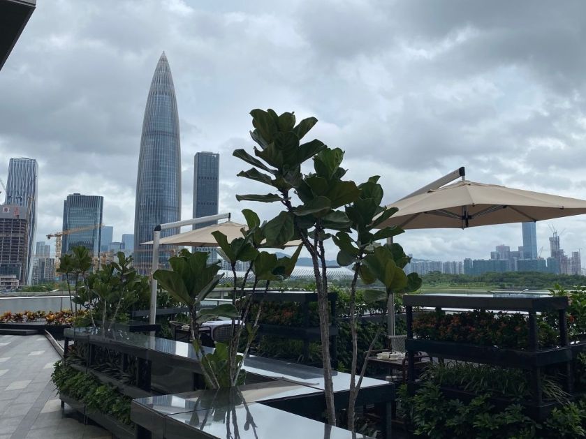 深圳湾1号·湾汇南区